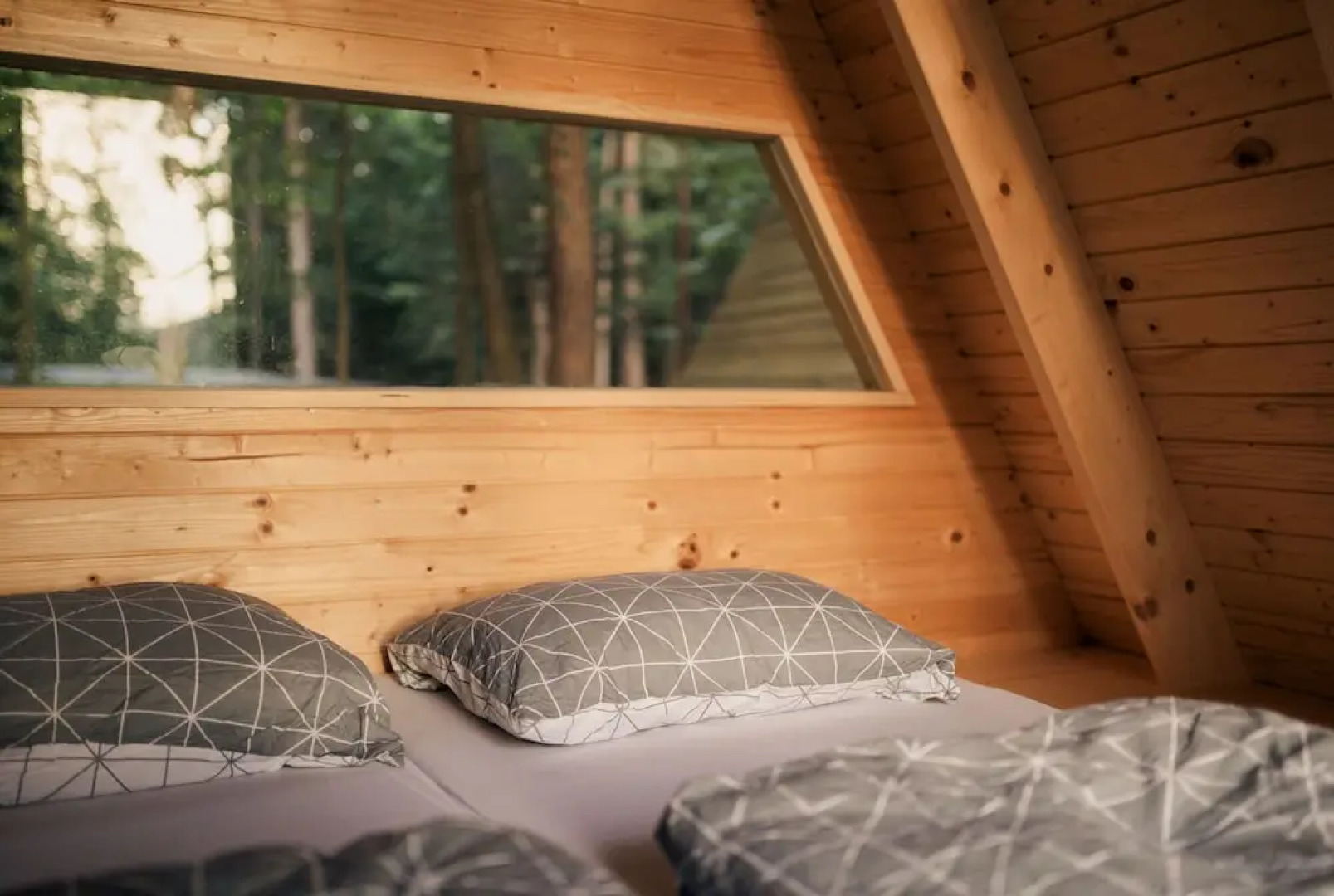 Forest Camping Mozirje