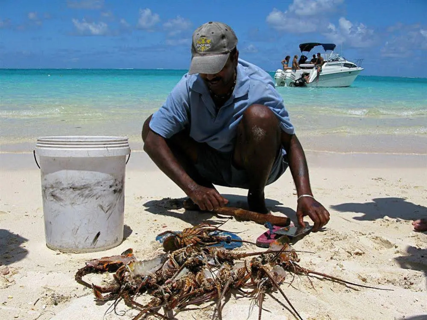 Coin de Paradis Luxury Beachfront Apartment