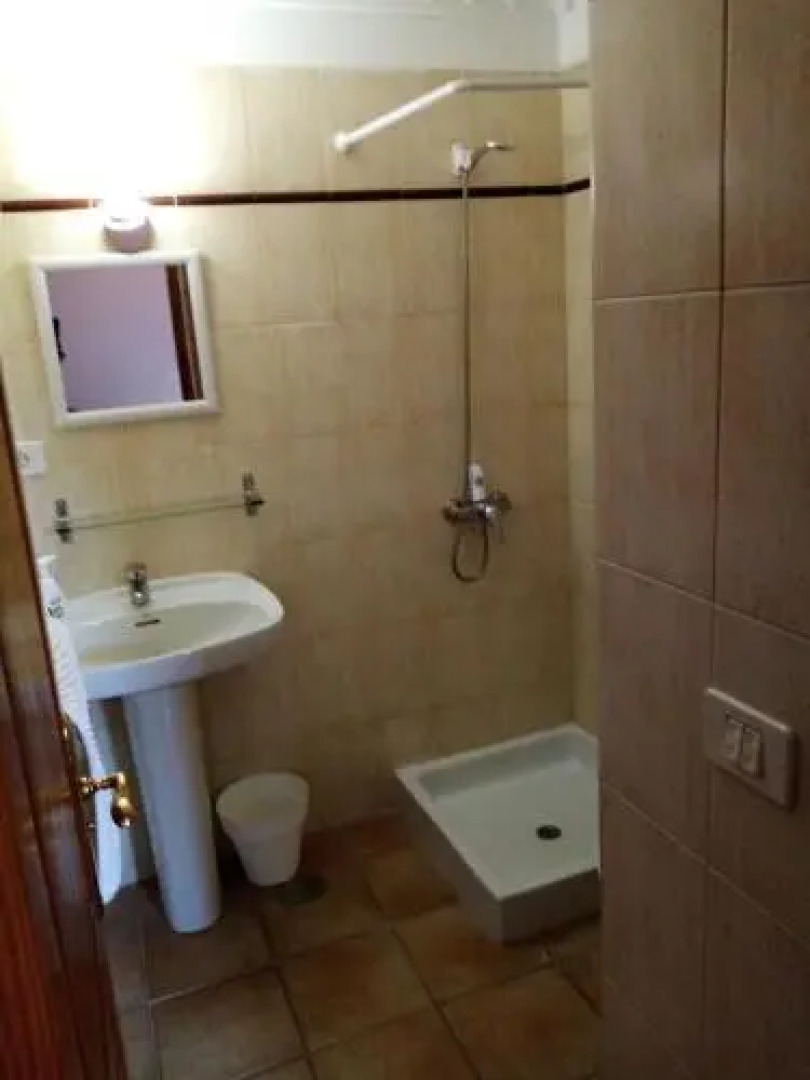 Ziggy's Mountain Retreat