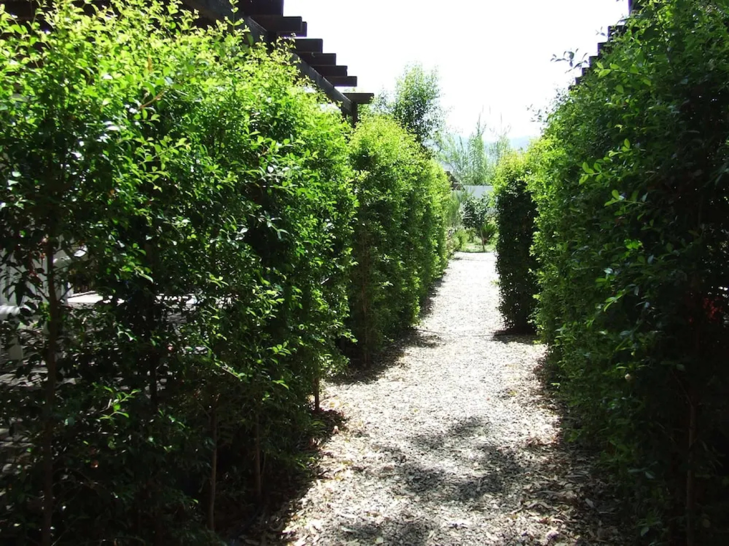 Batuca Village & Camping