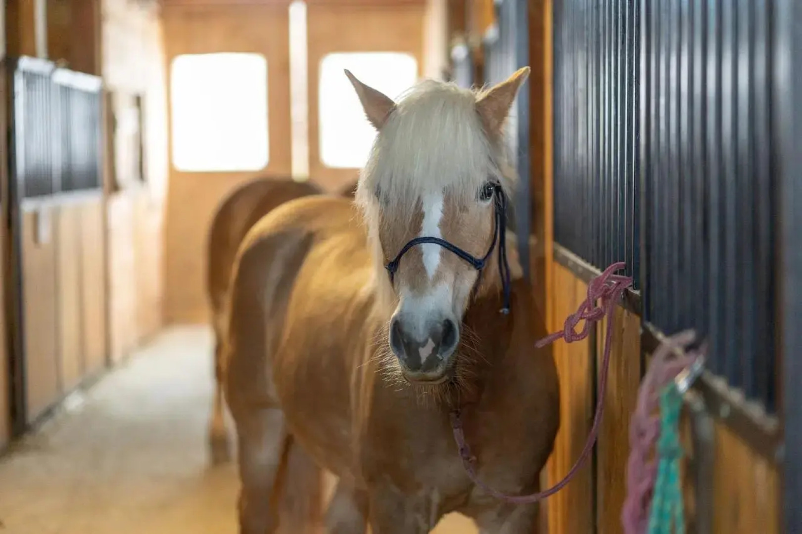 Potcoava Mountain Hideaway