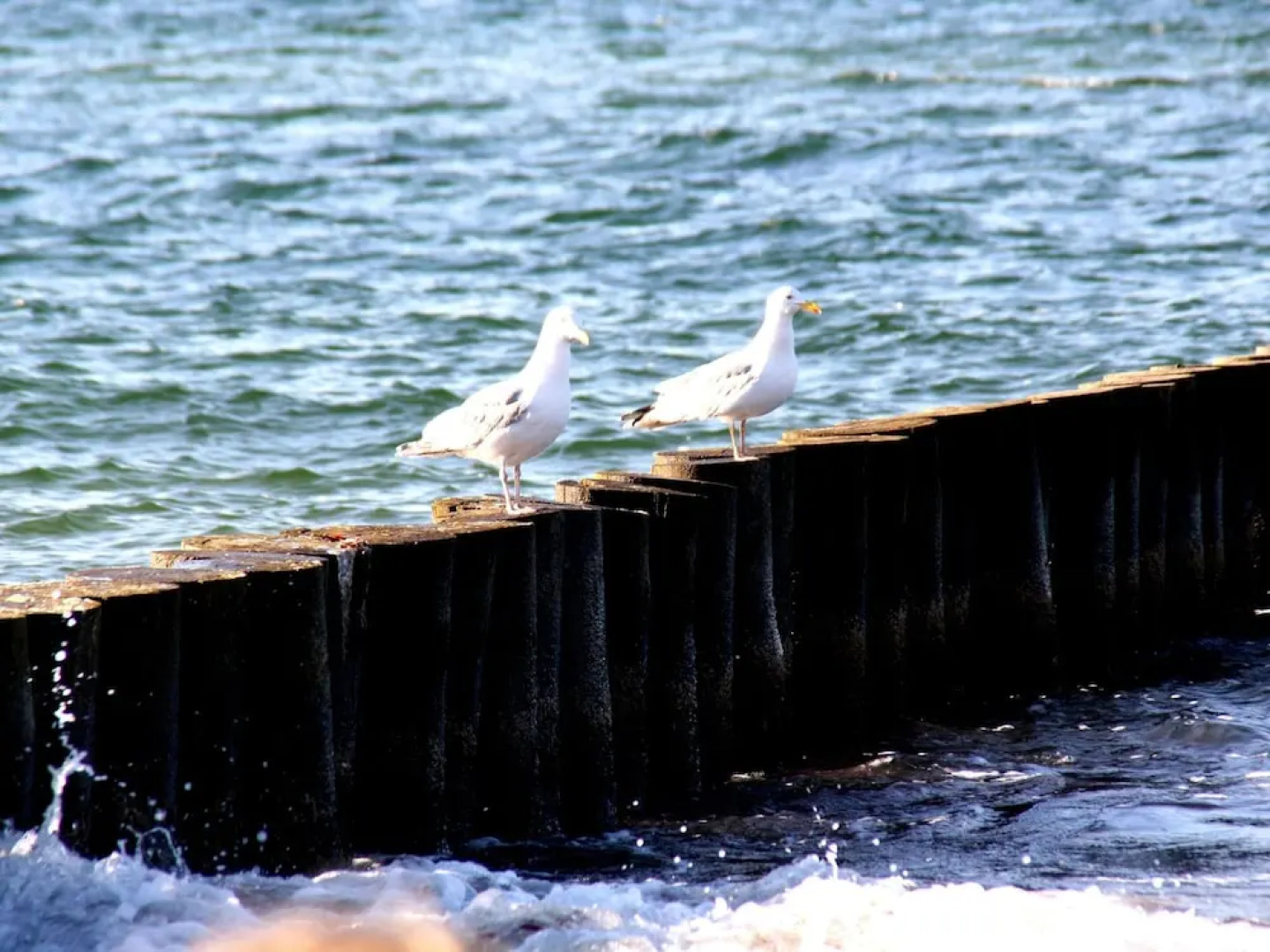 Wohnung mit Eigener Terrasse in Wismar