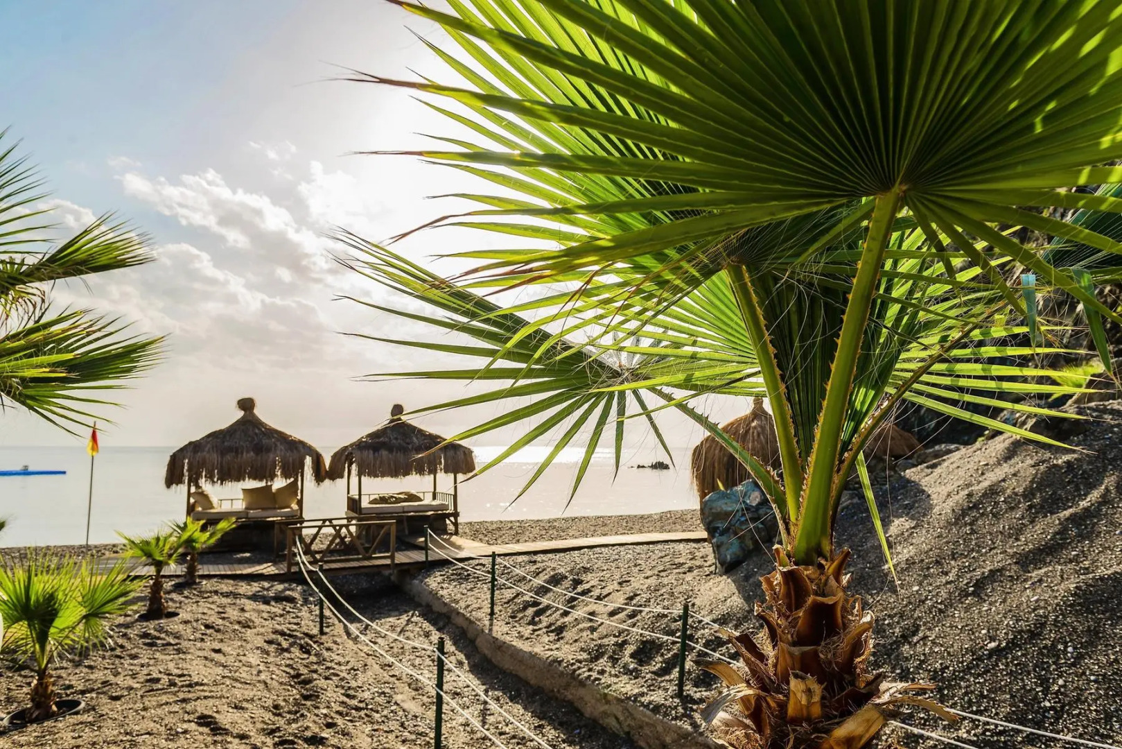 Robinson Camyuva - Adults only