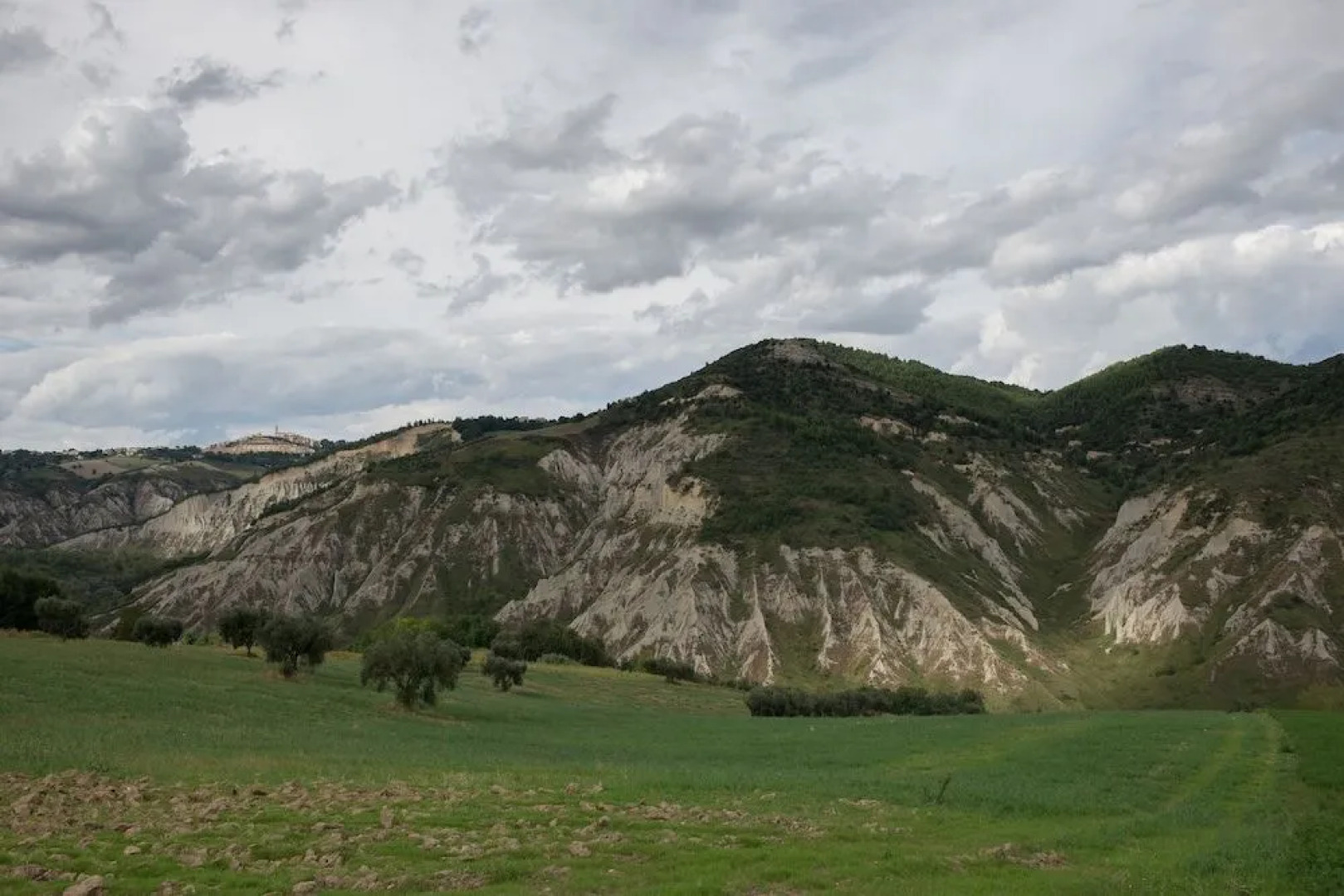 Società Agricola Zucchera S.S.
