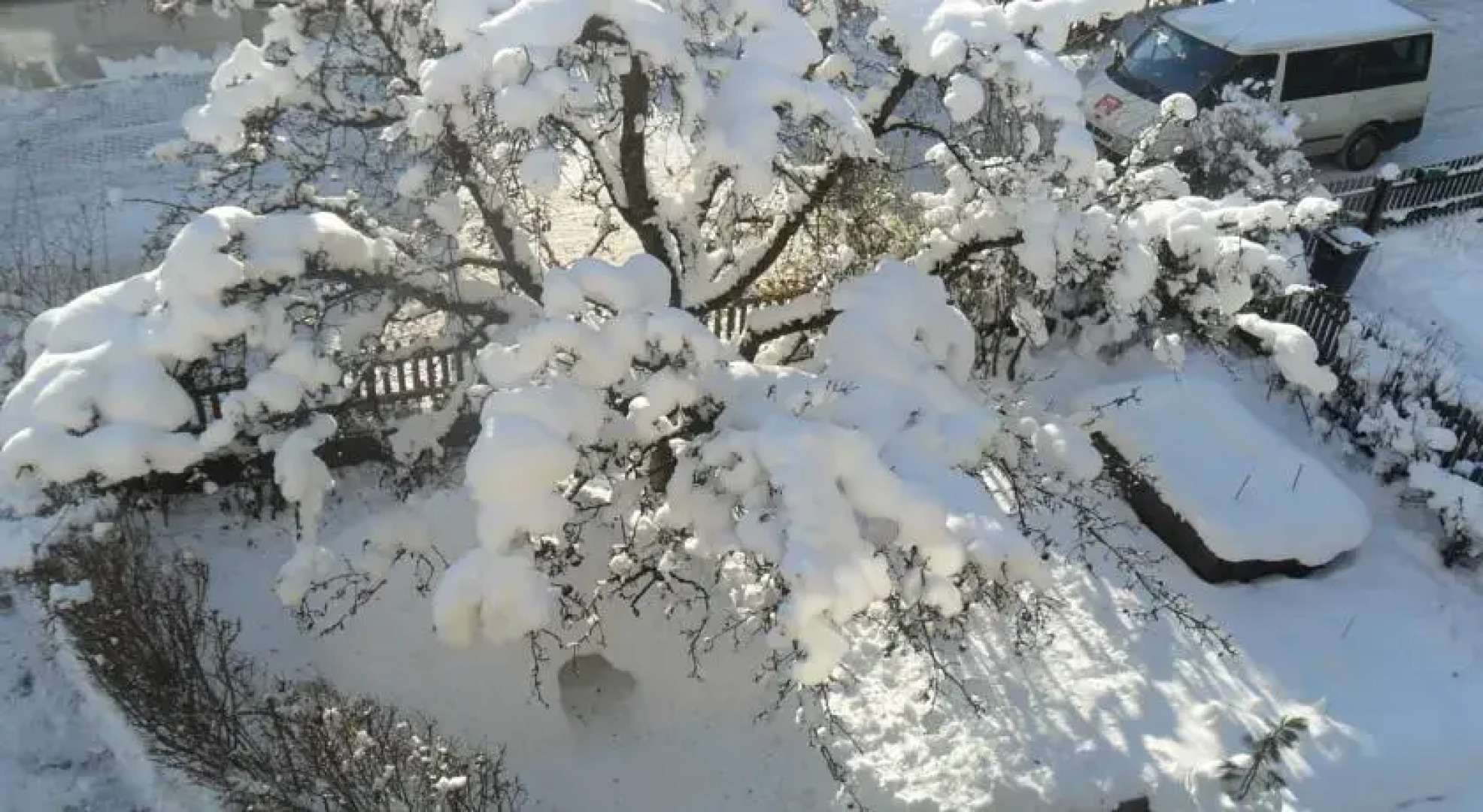 Haus Sabine Braunegger