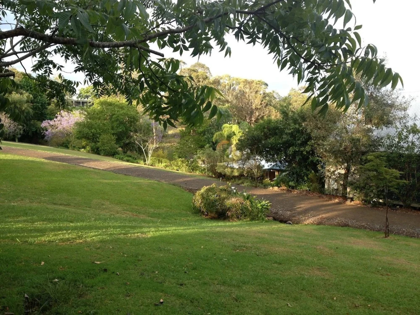 Jacaranda Cottages