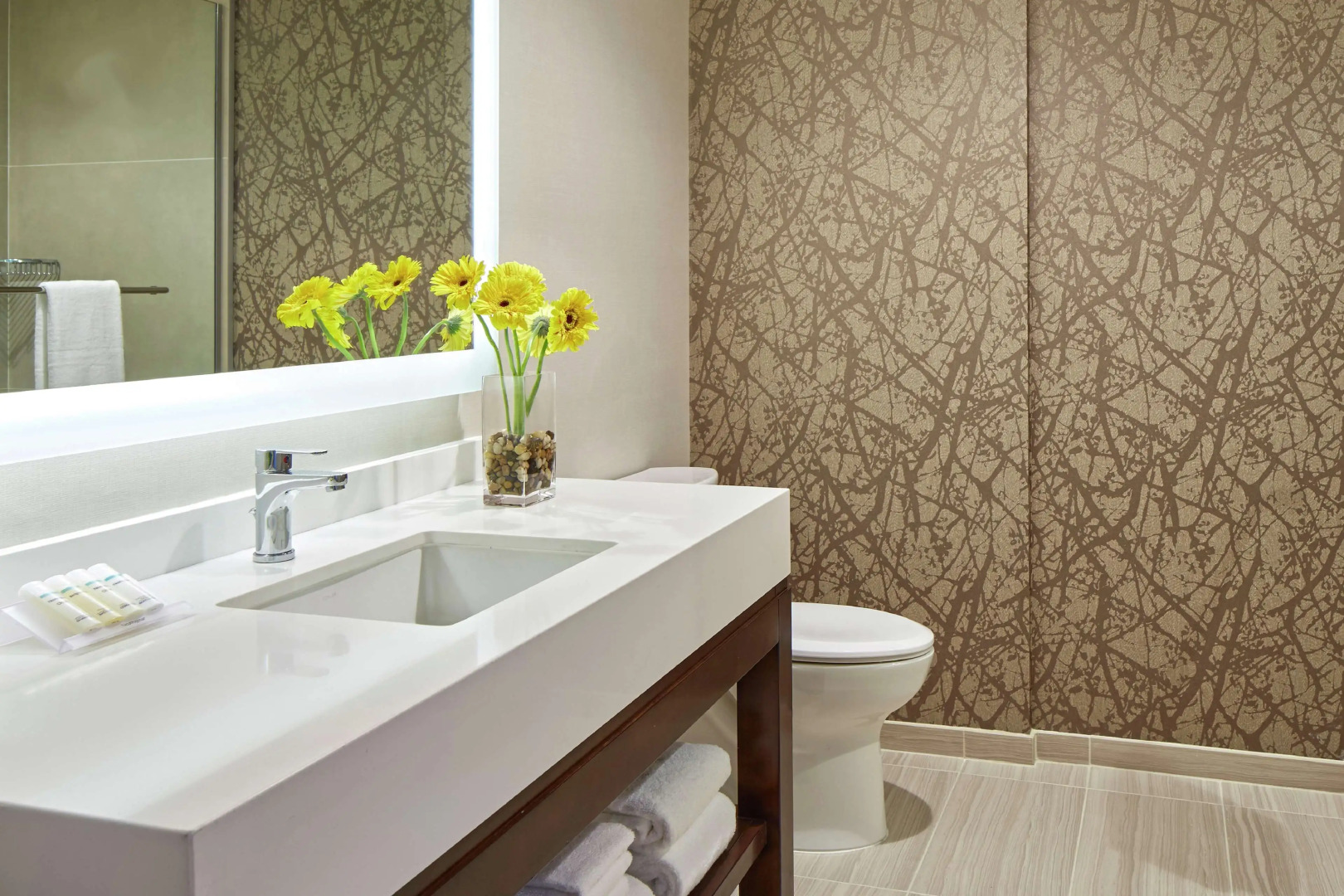 Hilton Garden Inn San Diego Mission Valley Stadium