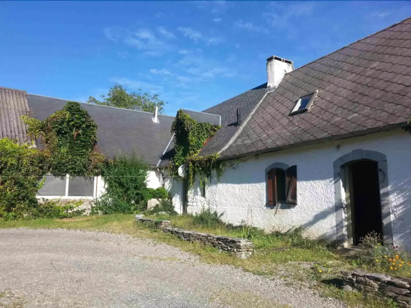 Les Alpagas Des Baronnies