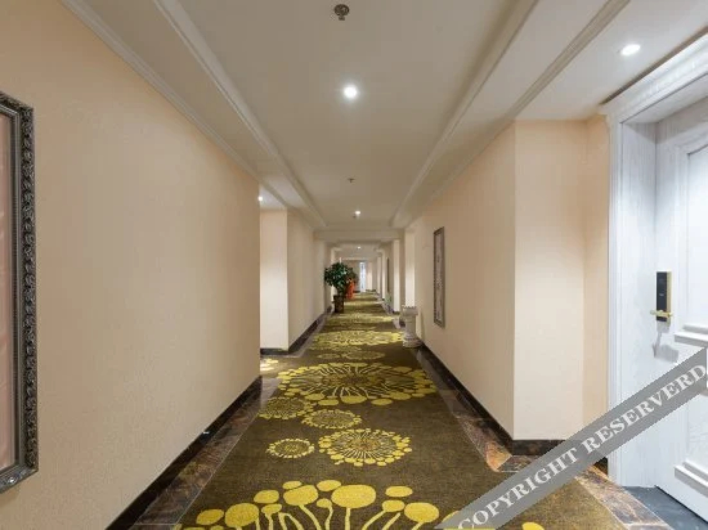 Xuzhou the Swan Inn