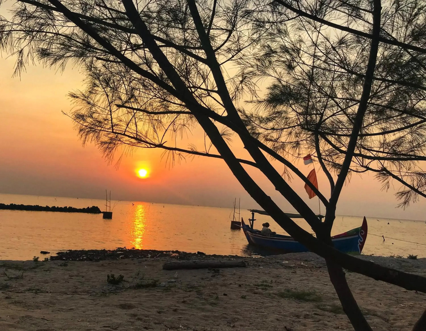 Seabirds Bed and Breakfast