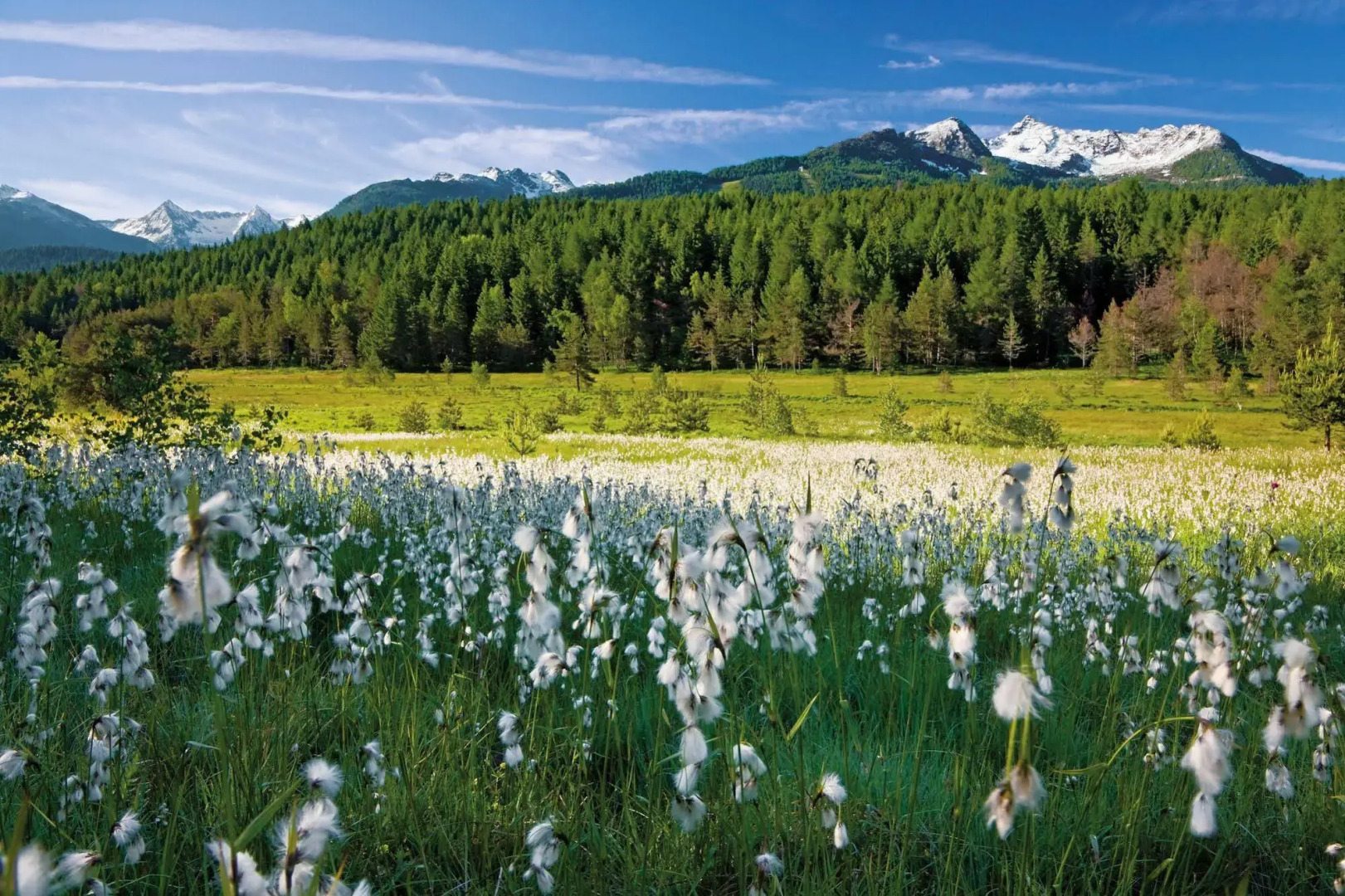 Residence Biancaneve