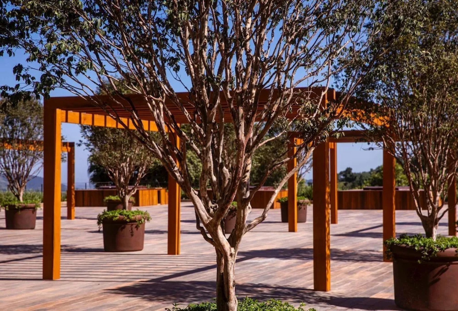 Bendito Cacao Family Resort