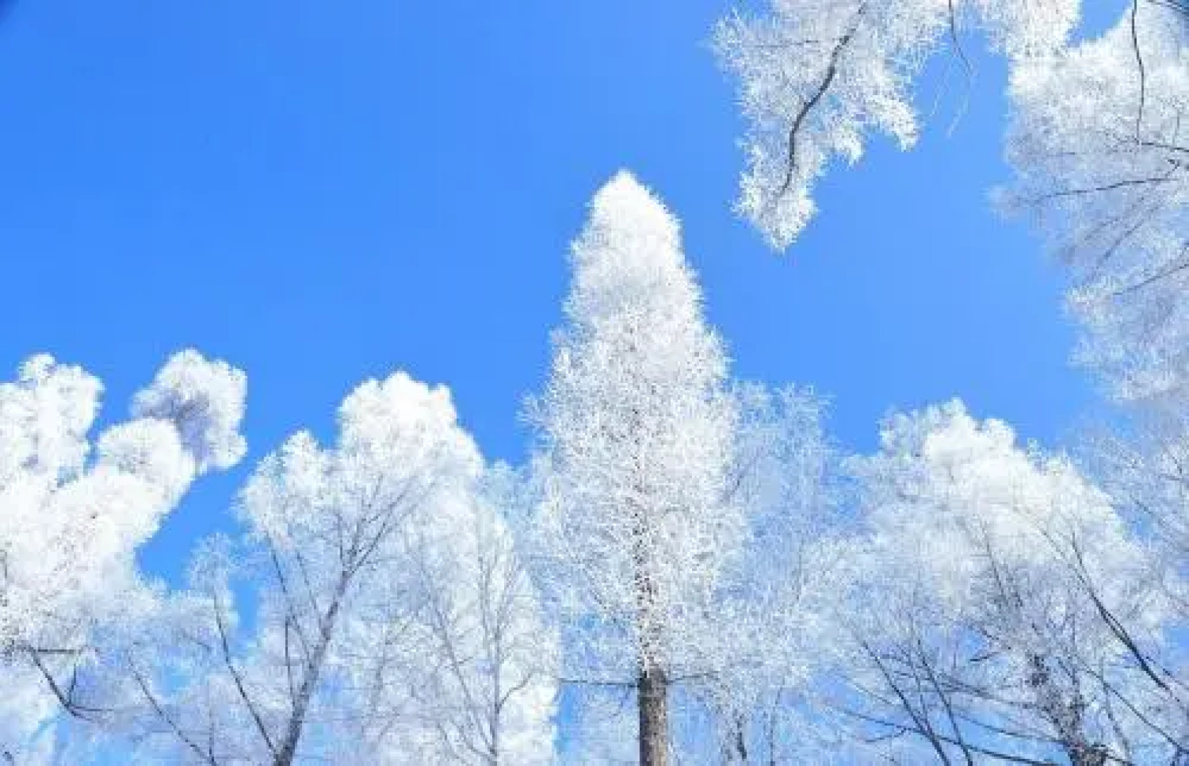 Rosy Town Holiday Apartment Changbai Mountain Mingzhu