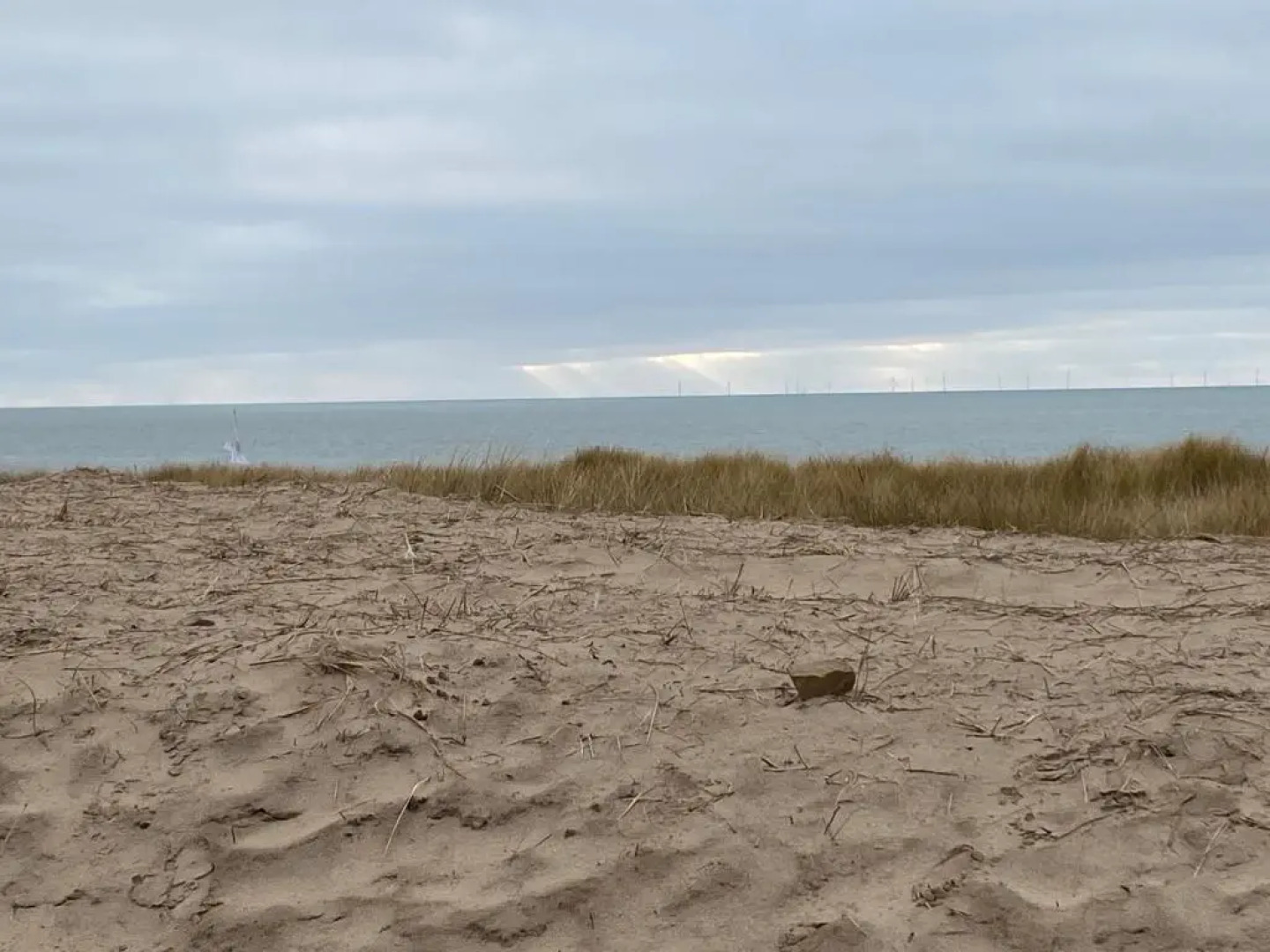 Dragonfly chalet Burghorn