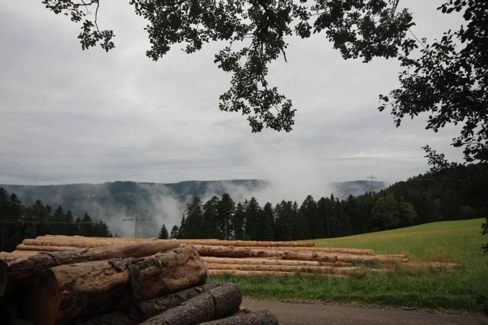 Waldeslust Apartments