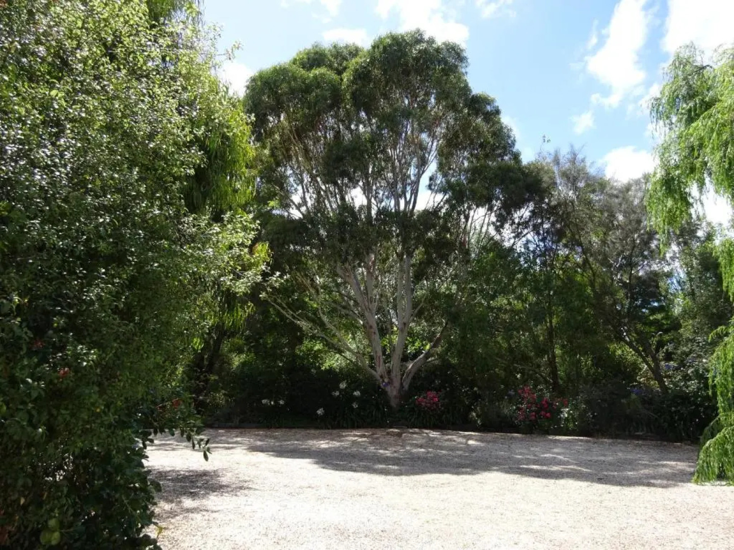 Cobden Crest Cottages