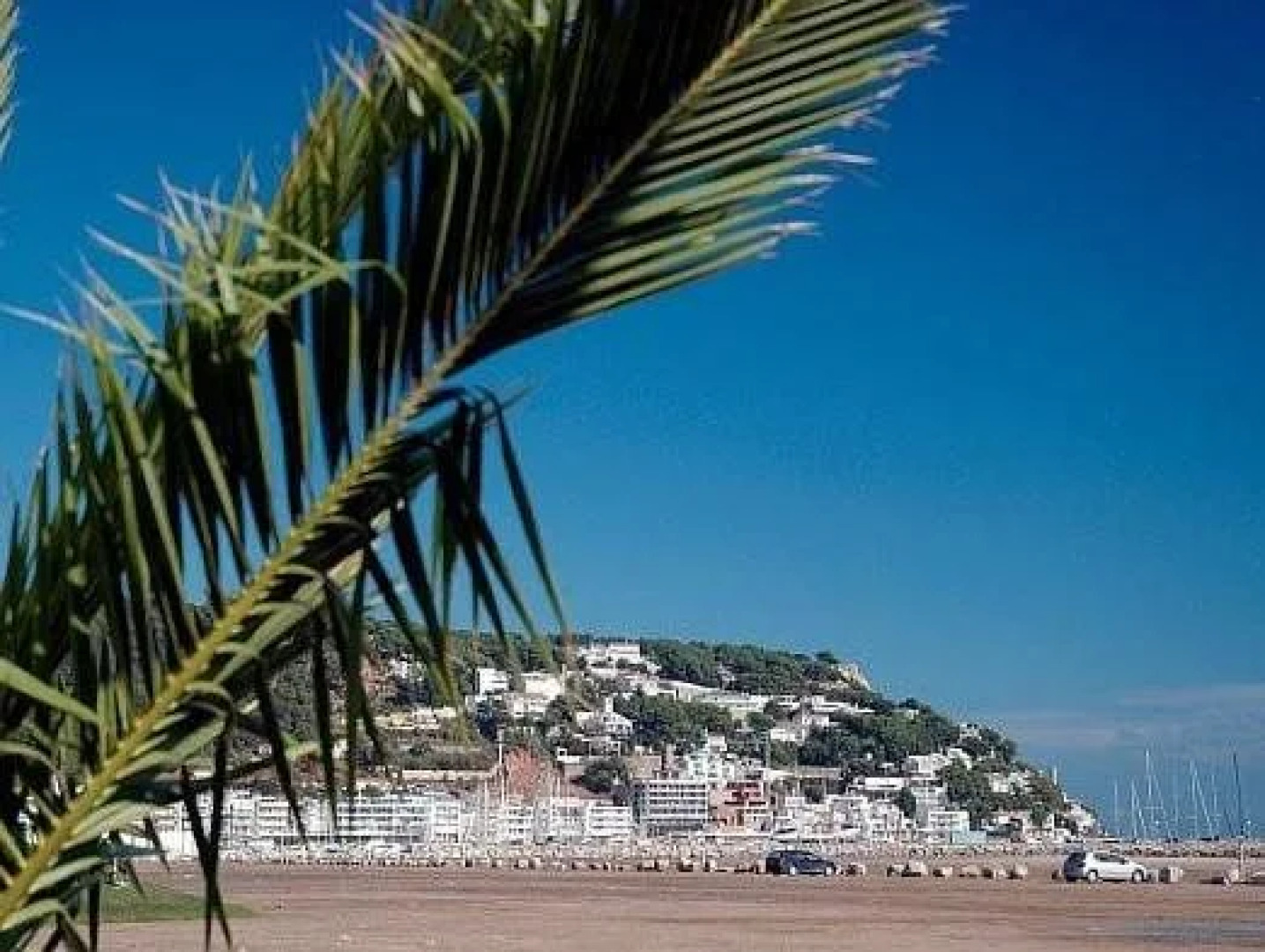 Apartamentos Estartit Costa