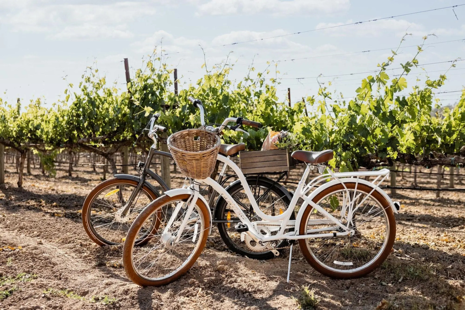 Four Seasons Resort and Residences Napa Valley