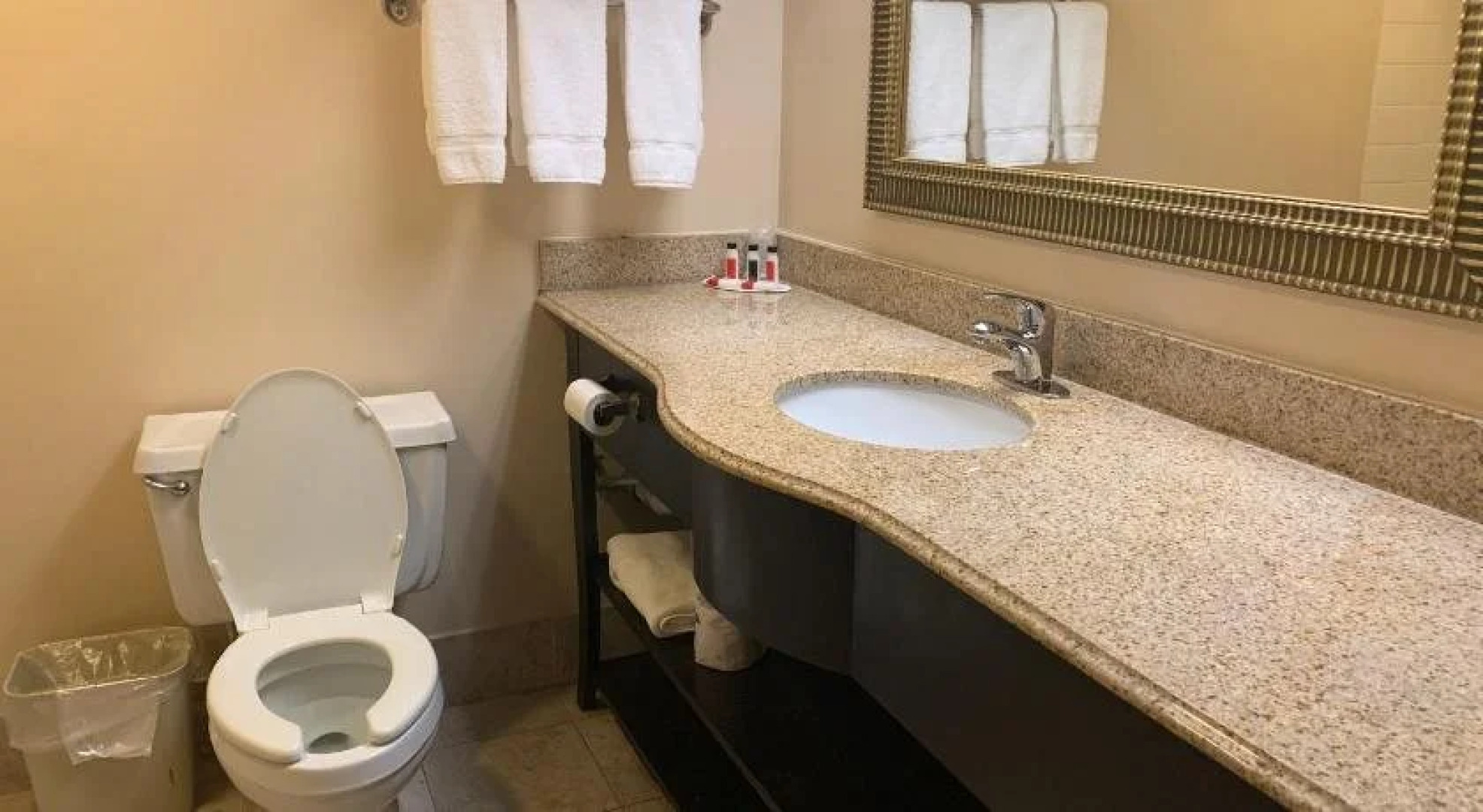 Holiday Inn Gainesville-Lanier Centre