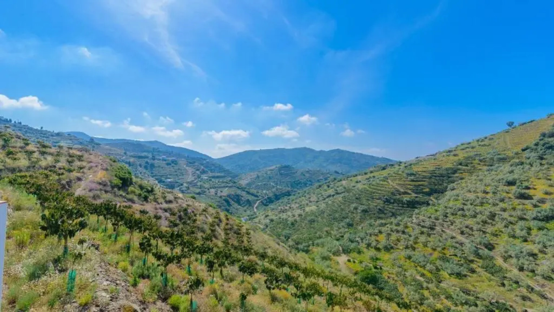 Villa Alejandro Sayalonga by Ruralidays