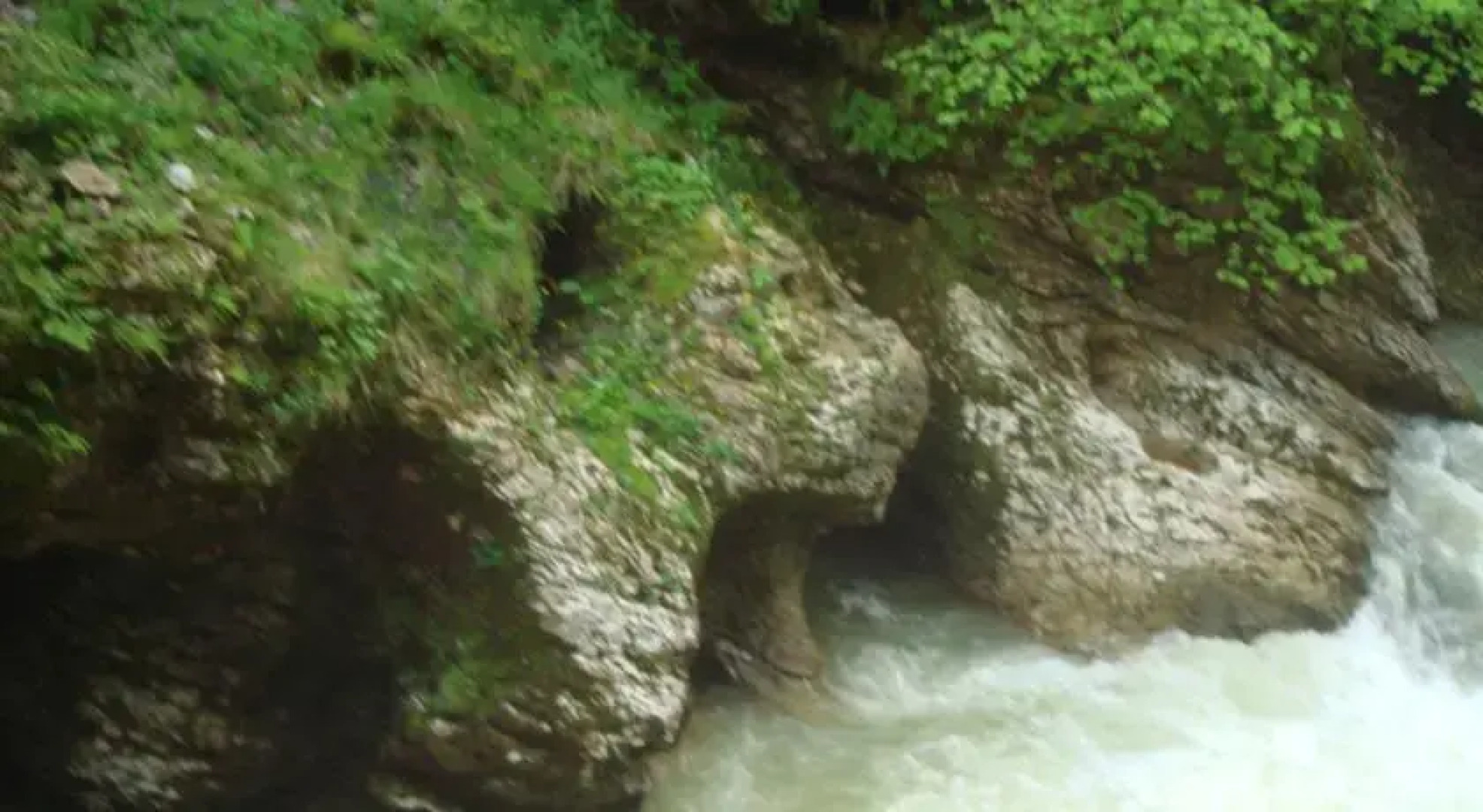 Ореховая Роща