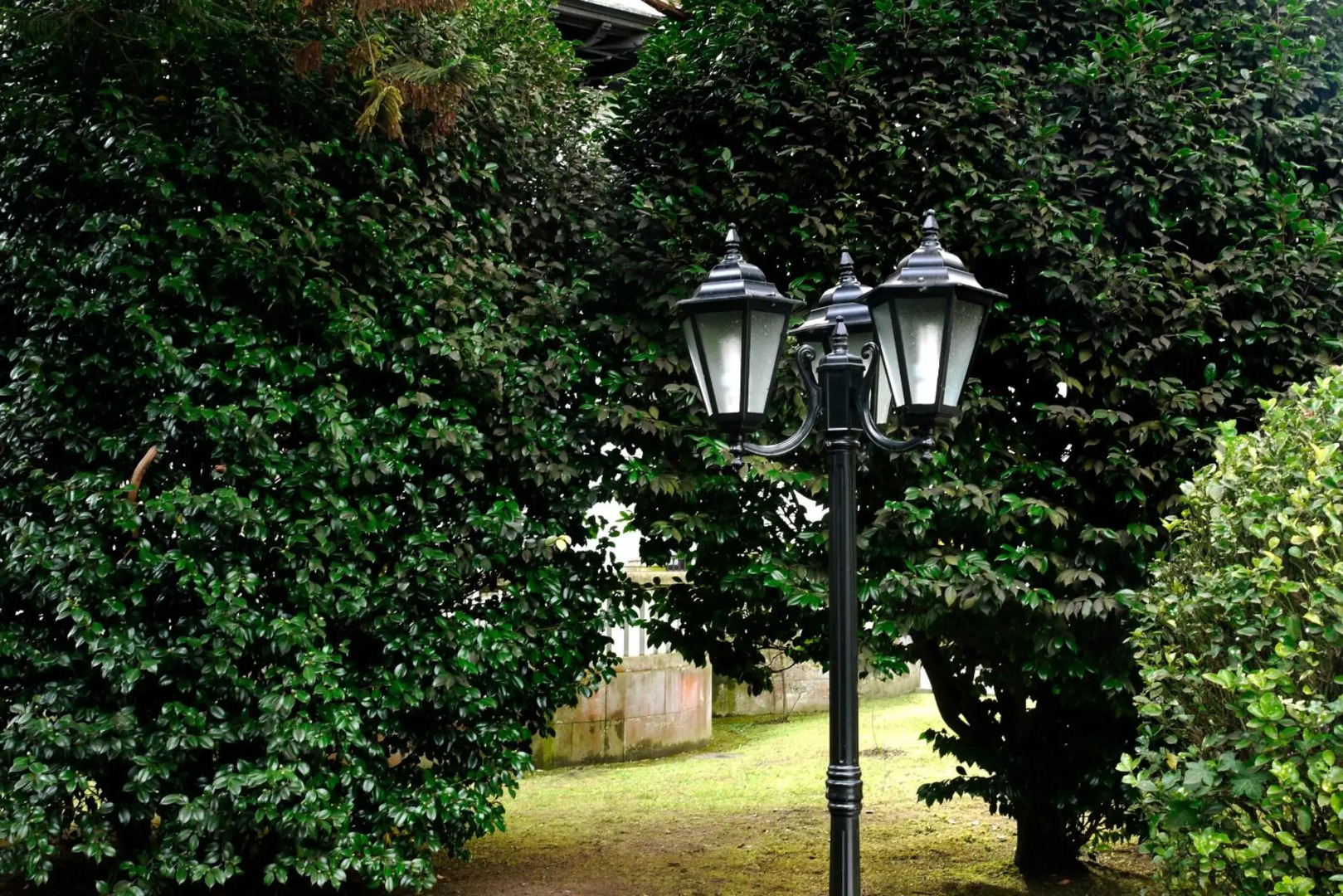 Palacio Arias and Hotel y Apartamentos Arias