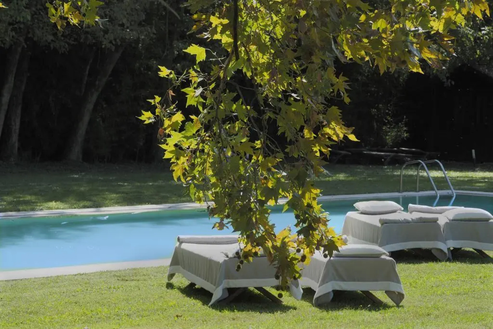 La Barchessa di Villa Pisani