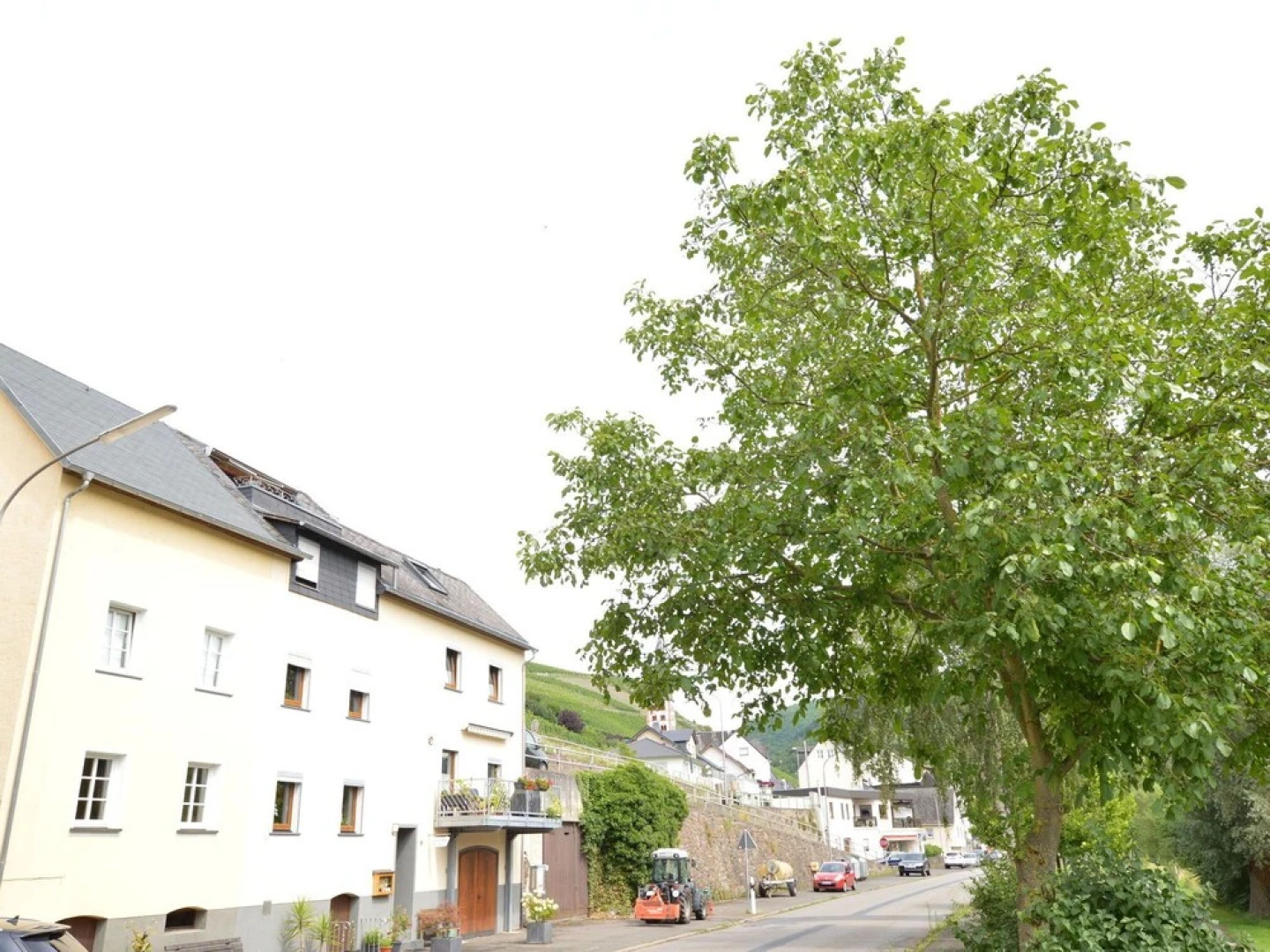 Comfortable Apartment in Zell Near Moselle River