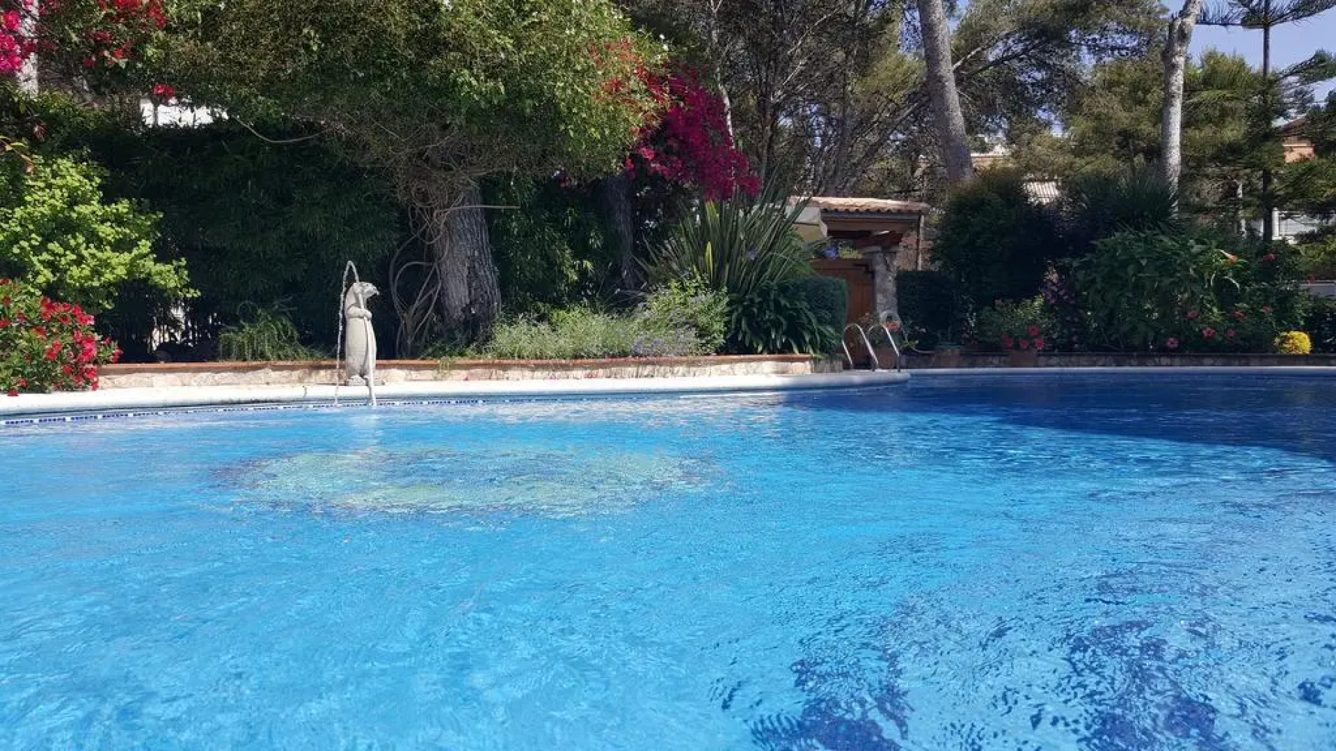 La Estrella Del Mediterraneo