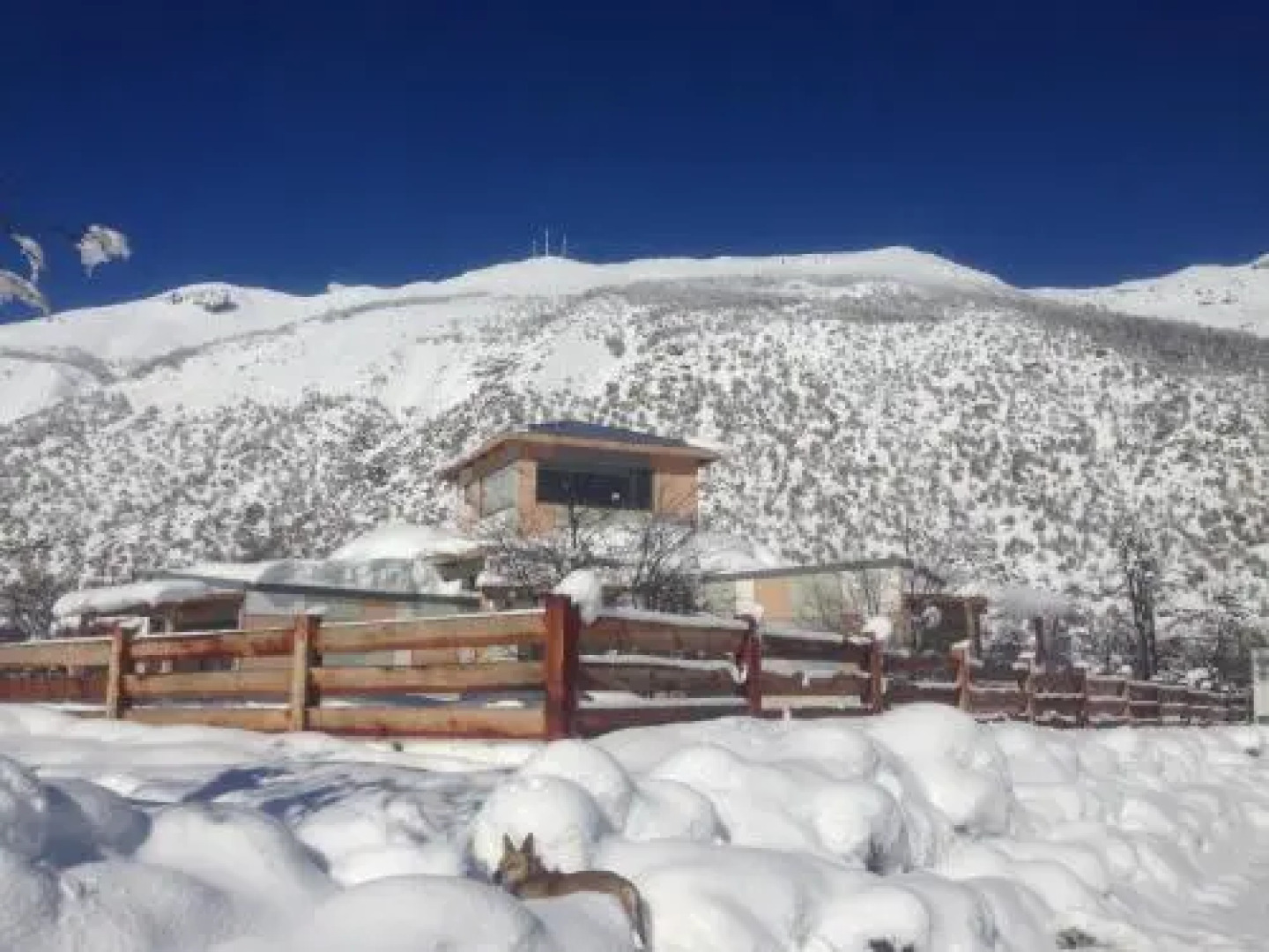 Refugio Ecobox Andino