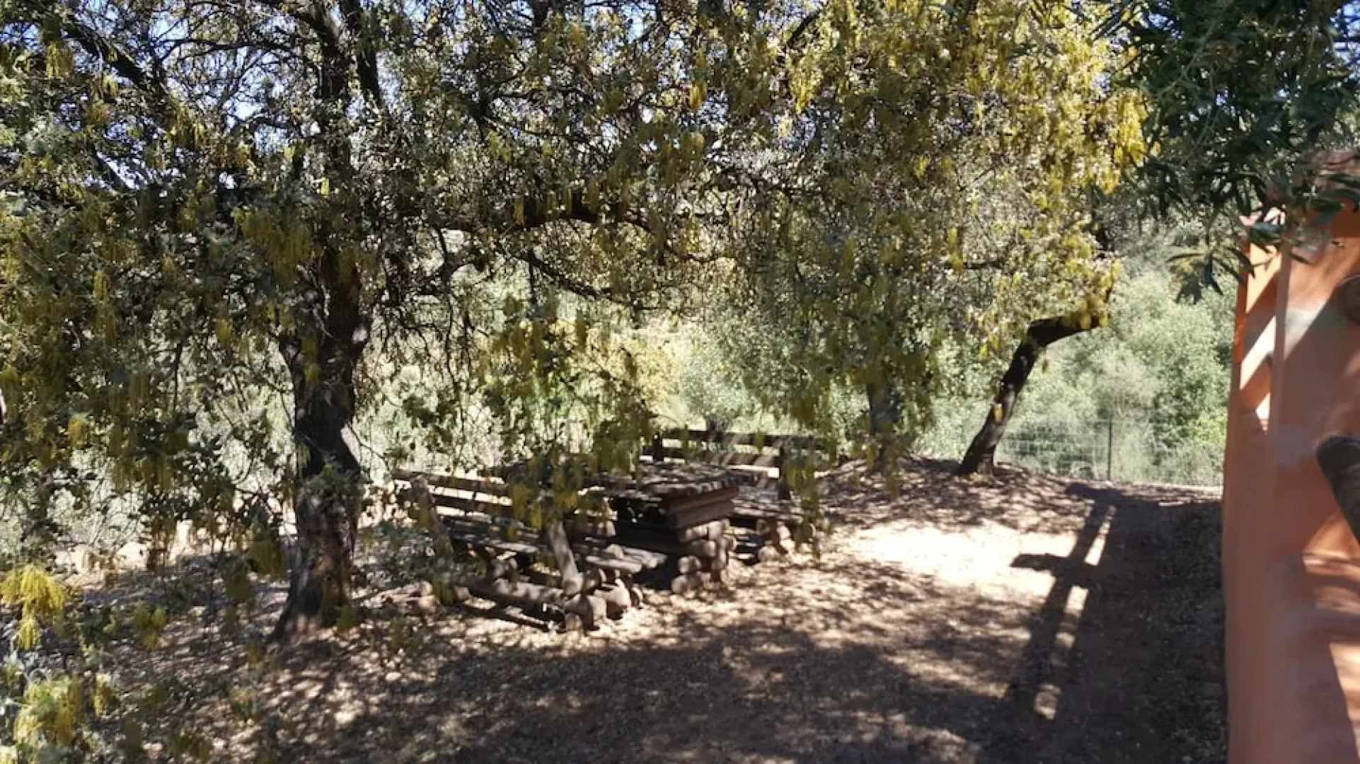 House With 2 Bedrooms in Puerto Serrano, With Wonderful Mountain View,