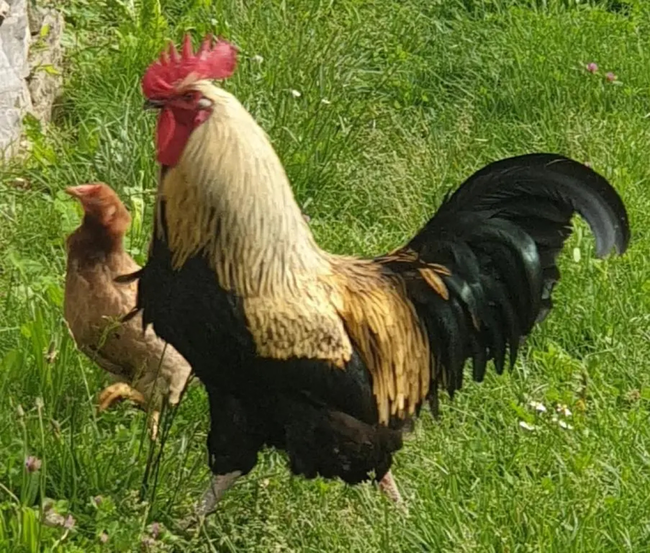 Le Vetrate sul Lago Lake Como Amazing View