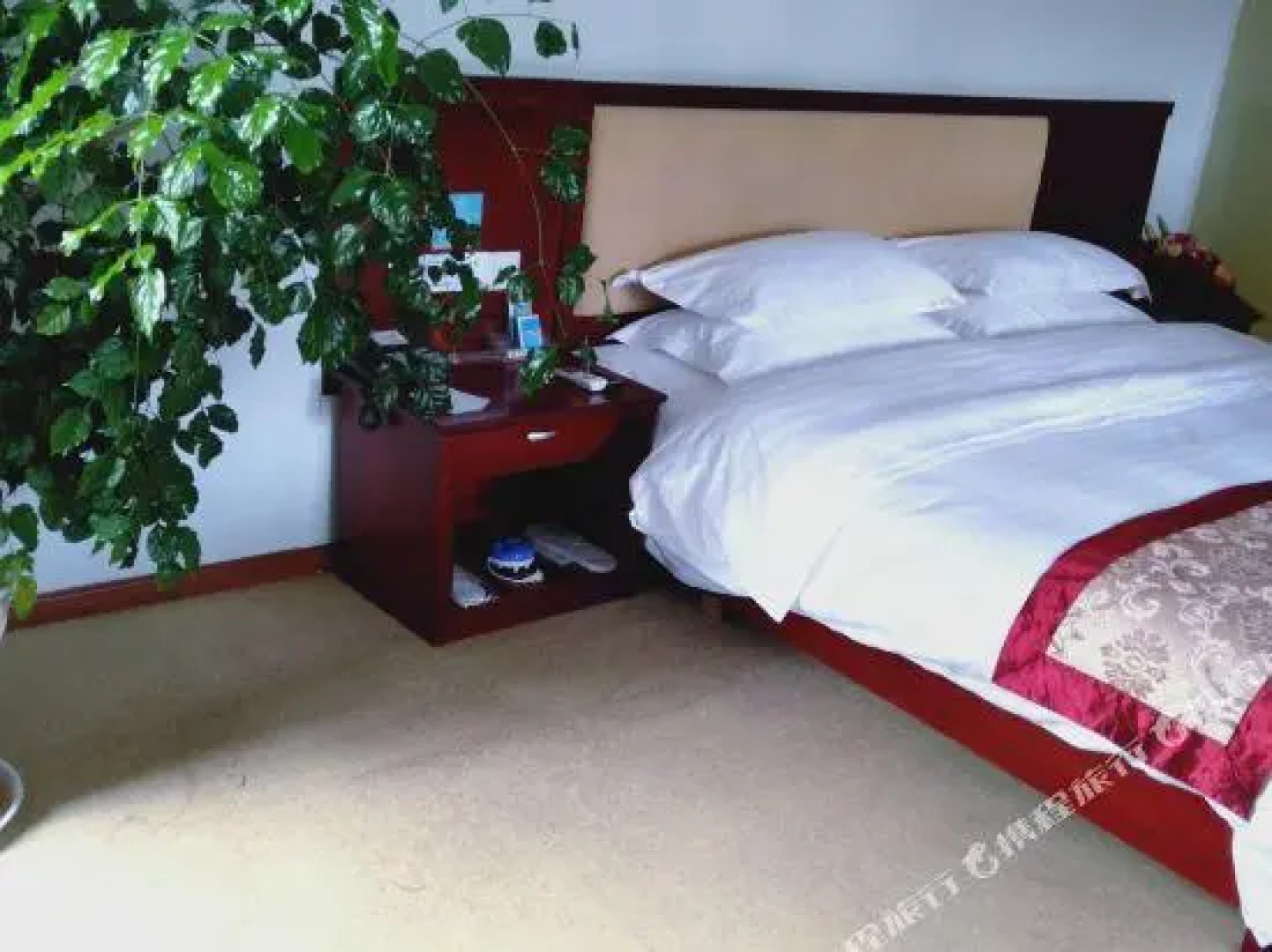 Deluke International Hotel