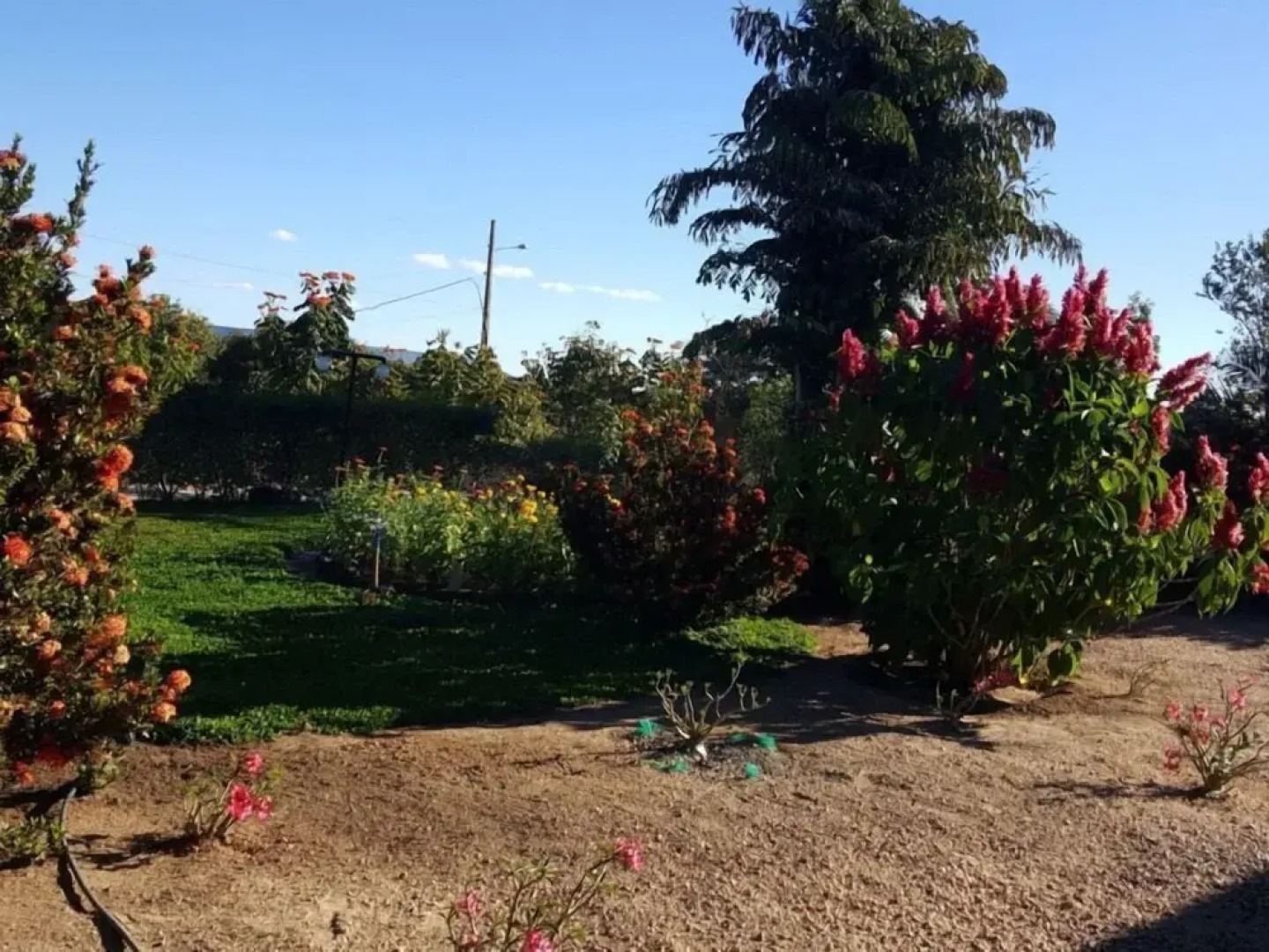 Pousada Buritis do Jalapão