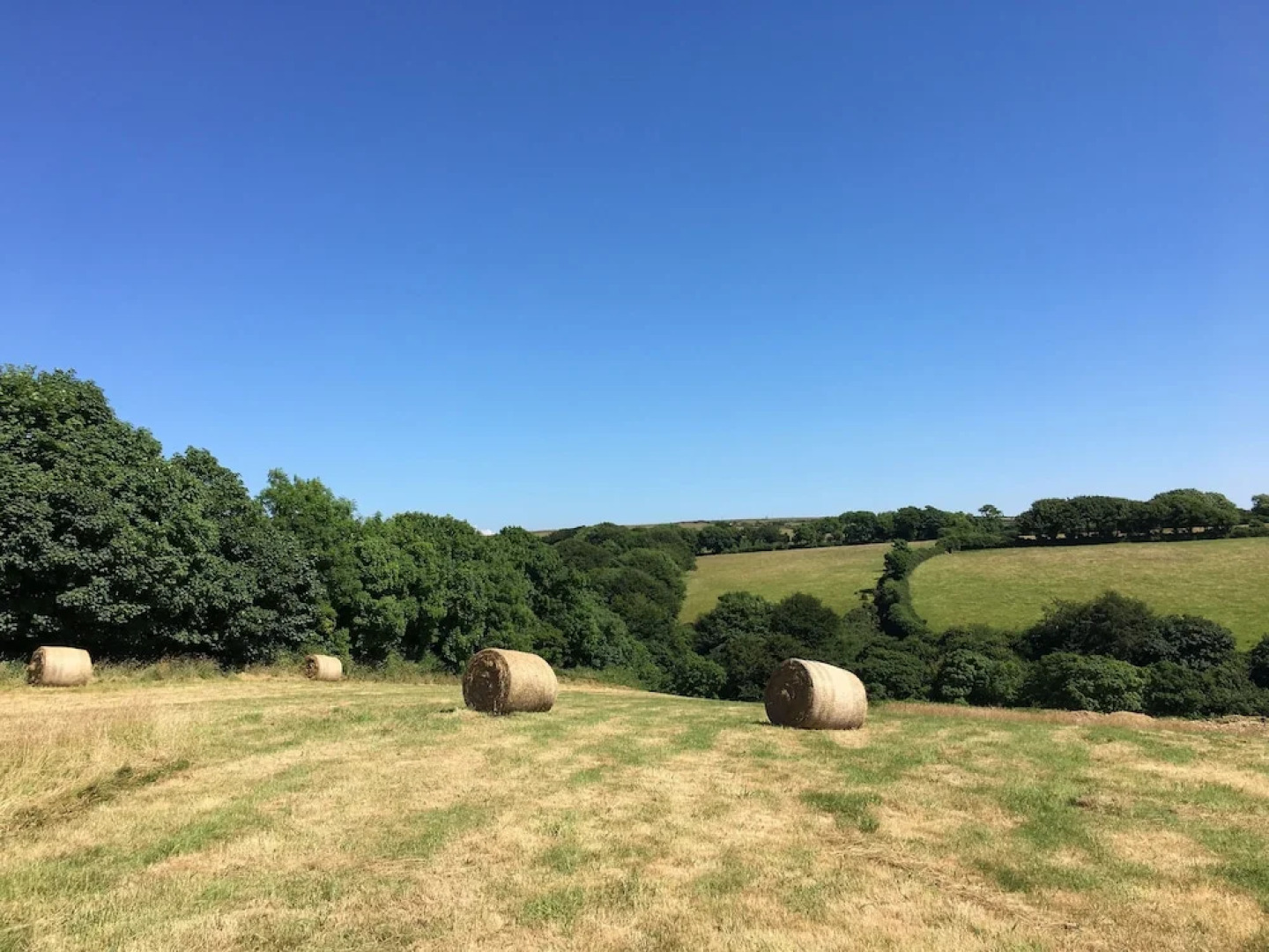 Higher Culloden Farm