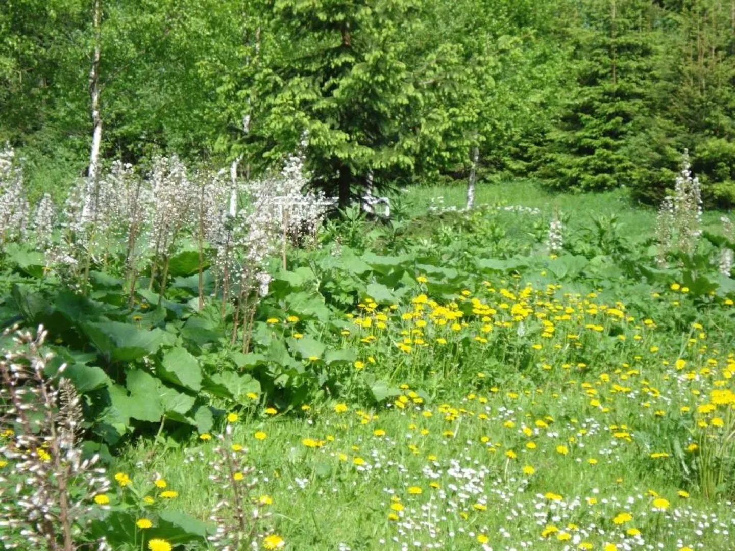 Horské apartmány Jeseníky