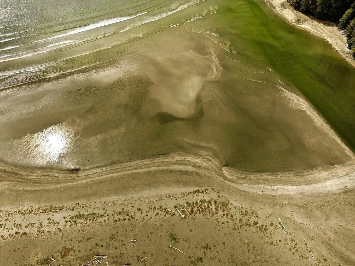 Kingfisher Lodge and Marina