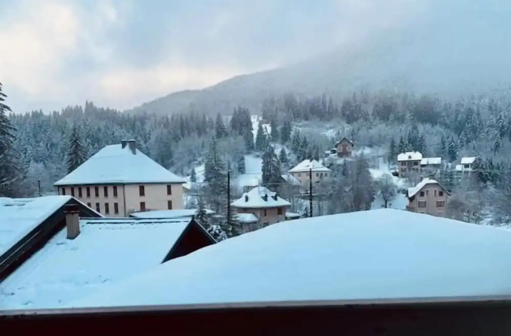 Caprice du Guiers la Joceane