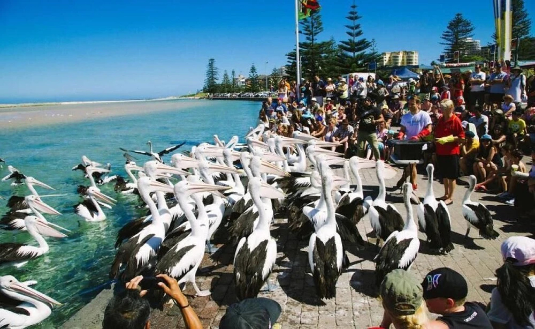 The Entrance Backpackers - Hostel