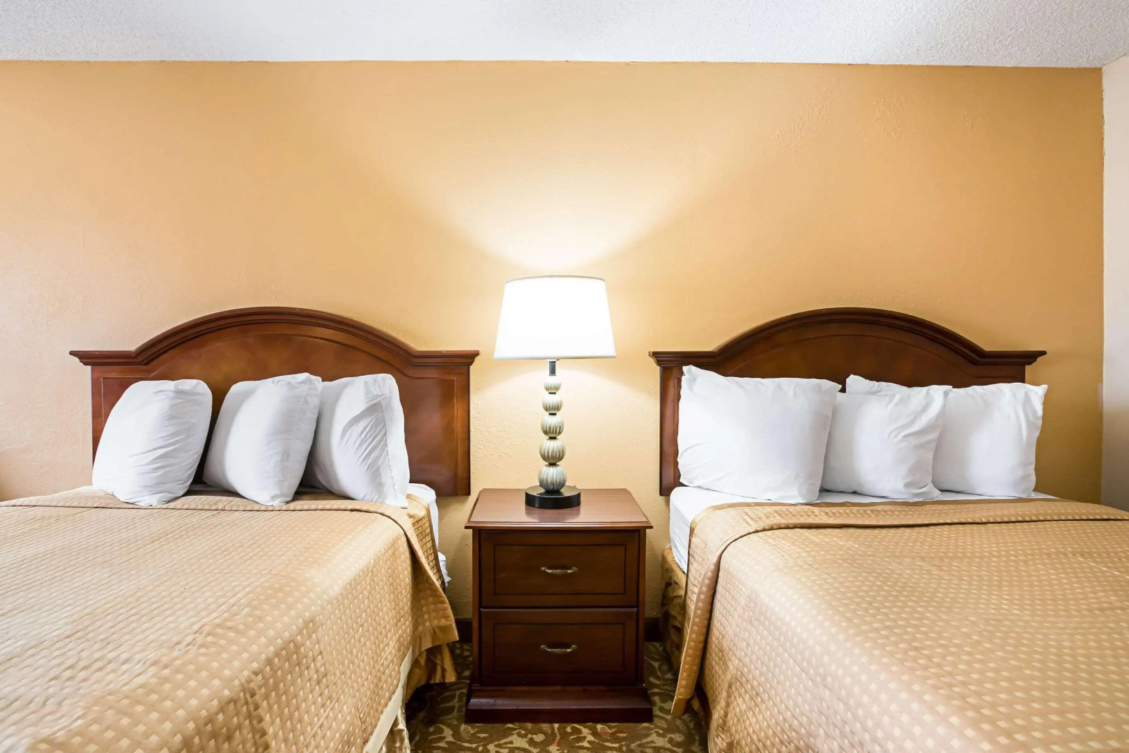 Rodeway Inn Metro Airport