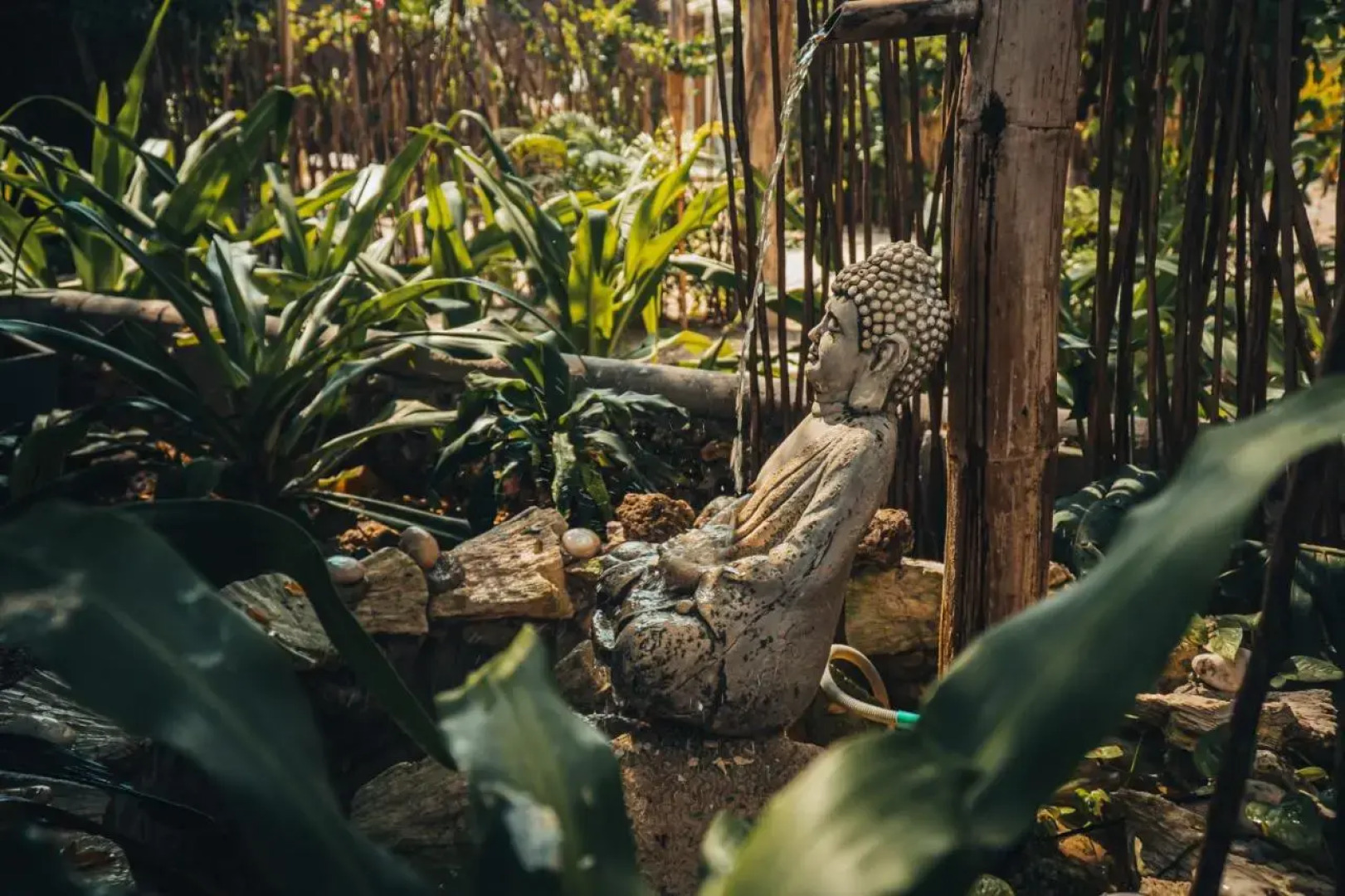 Namaste Beach Club & Hotel