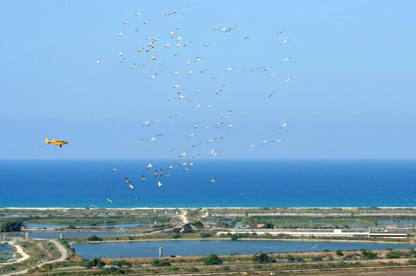 Yama Wine Spa And Suites