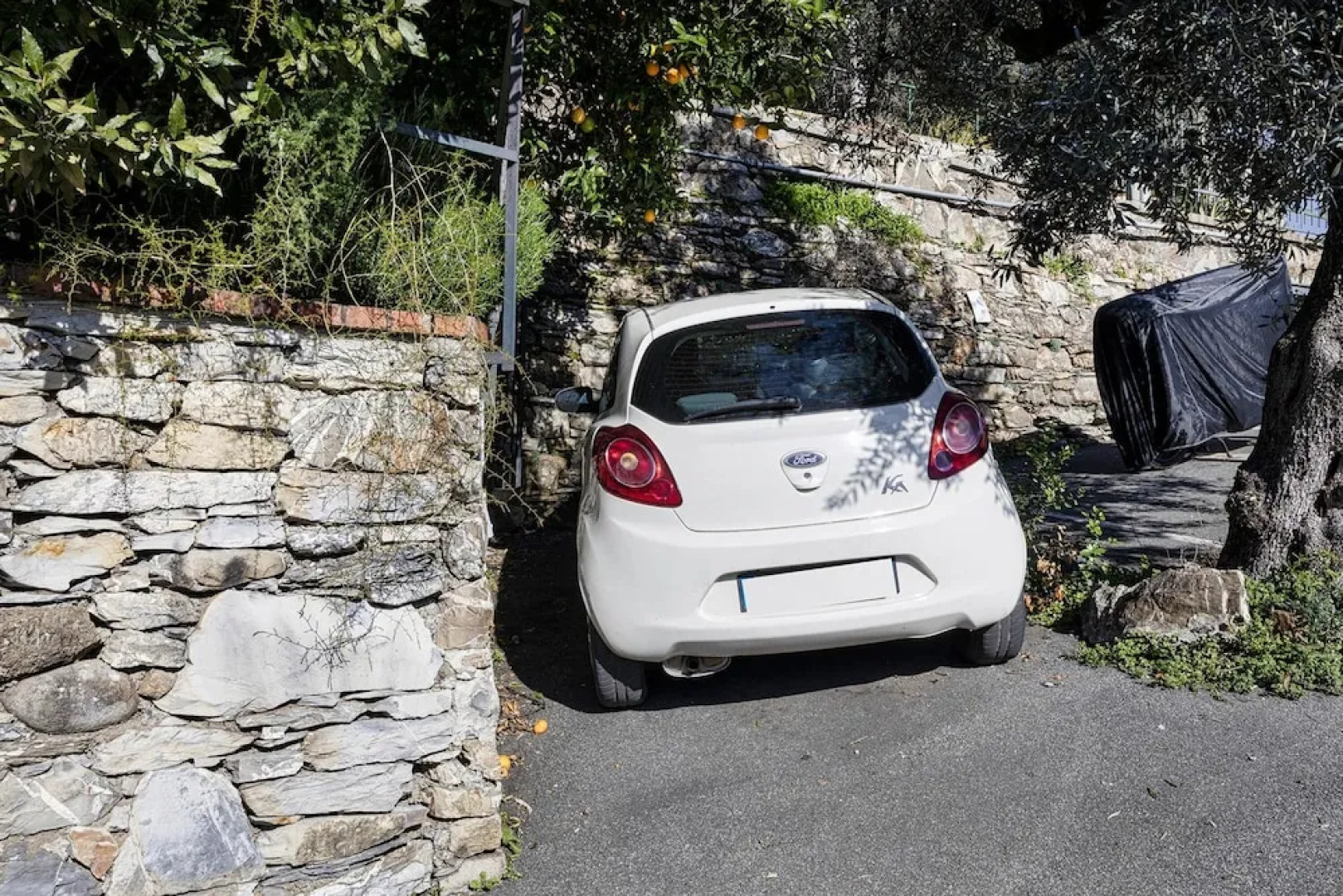 Seaview Apartment With Garden in Recco by Wonderful Italy