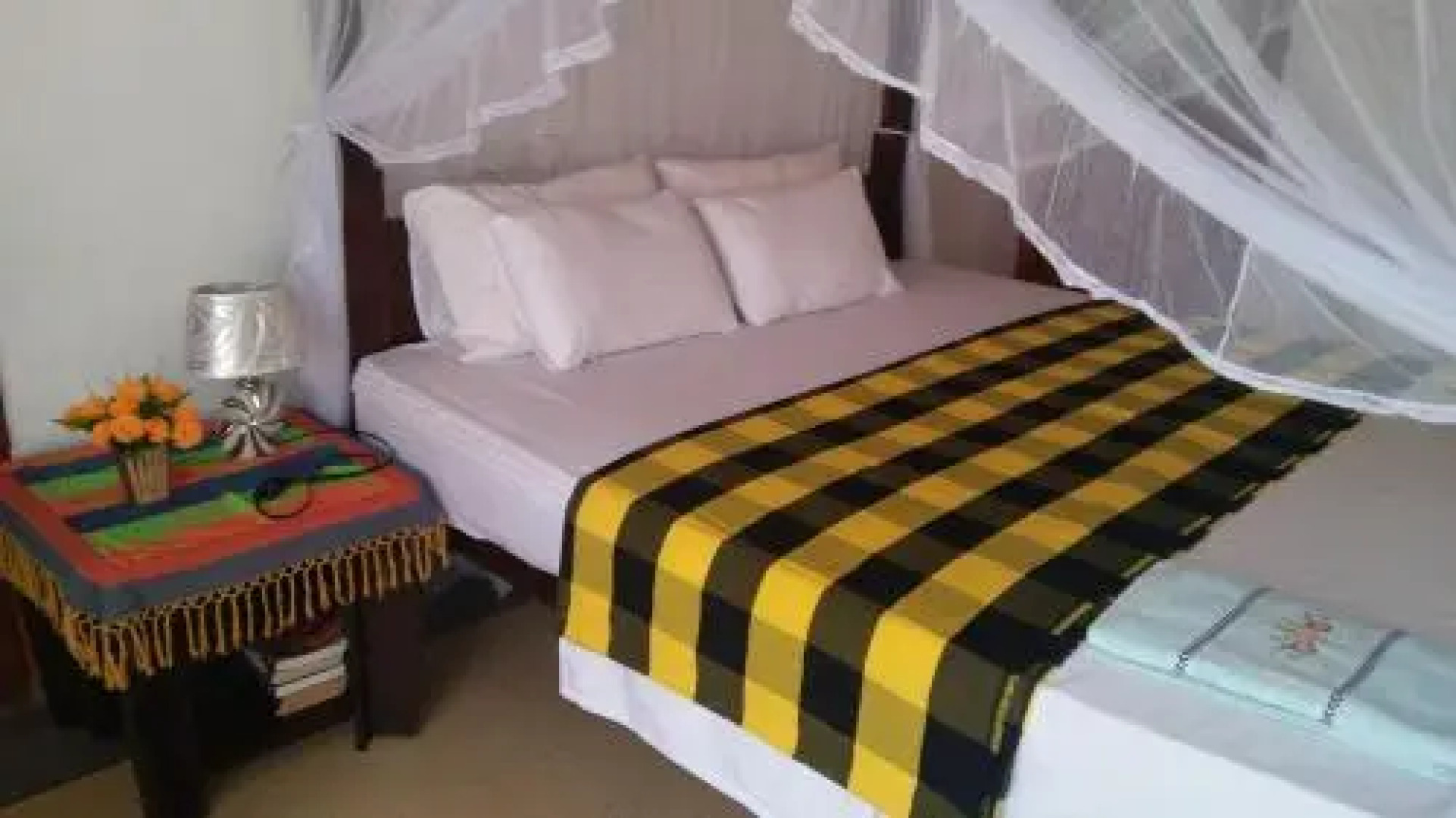 Jungle View apartment