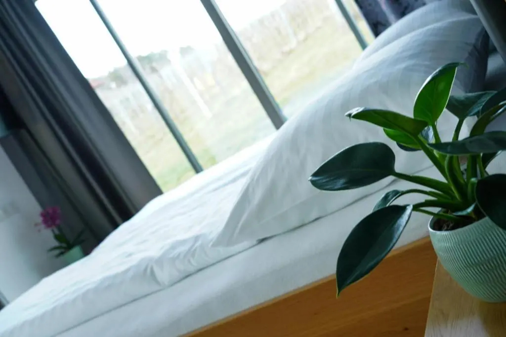 Walters Weinquartier