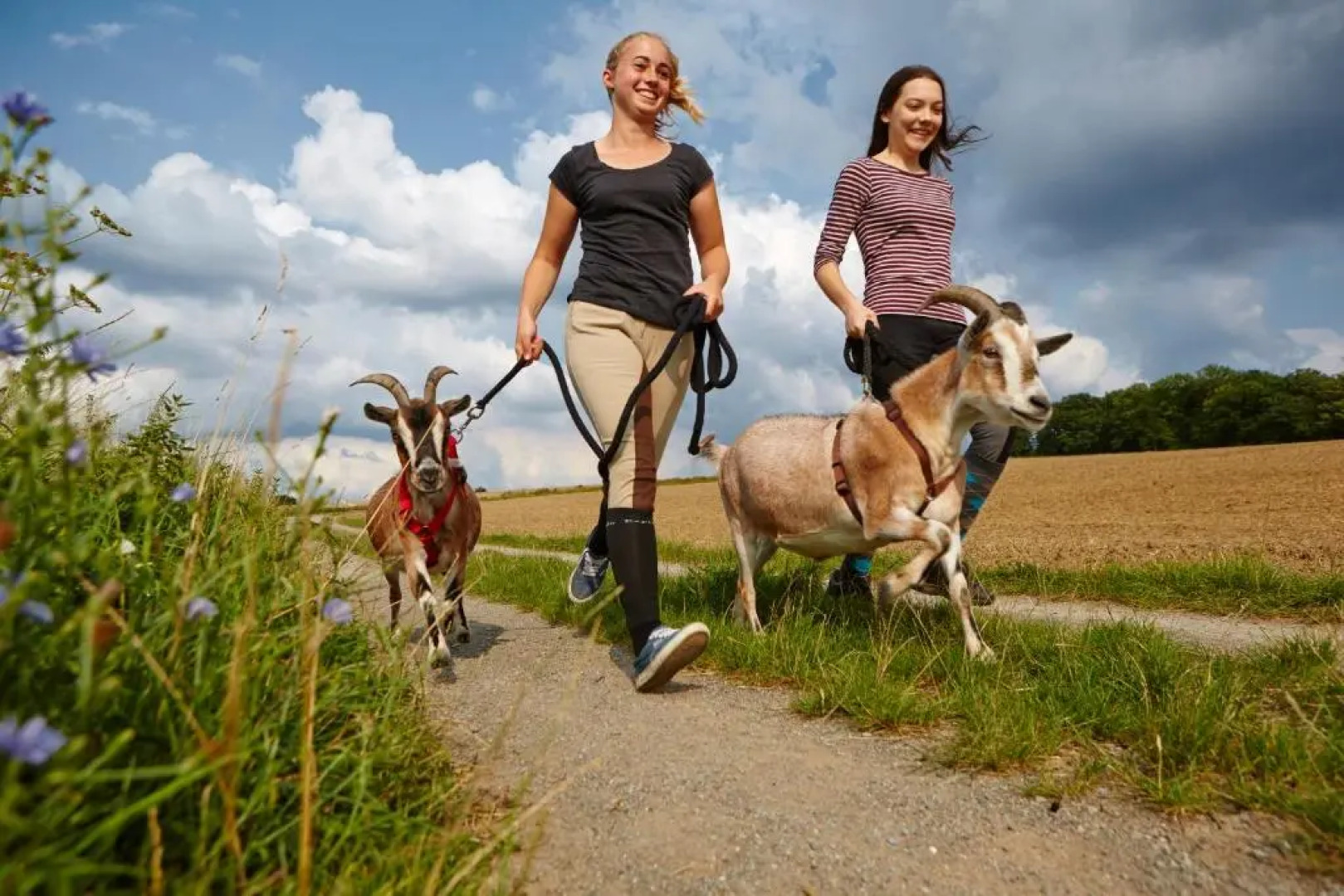 Apartment Urlaubsreiterhof Trunk