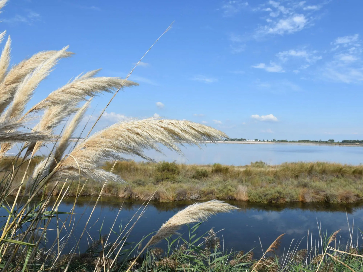 Luxurious Holiday Home with Private Pool in Port Camargue