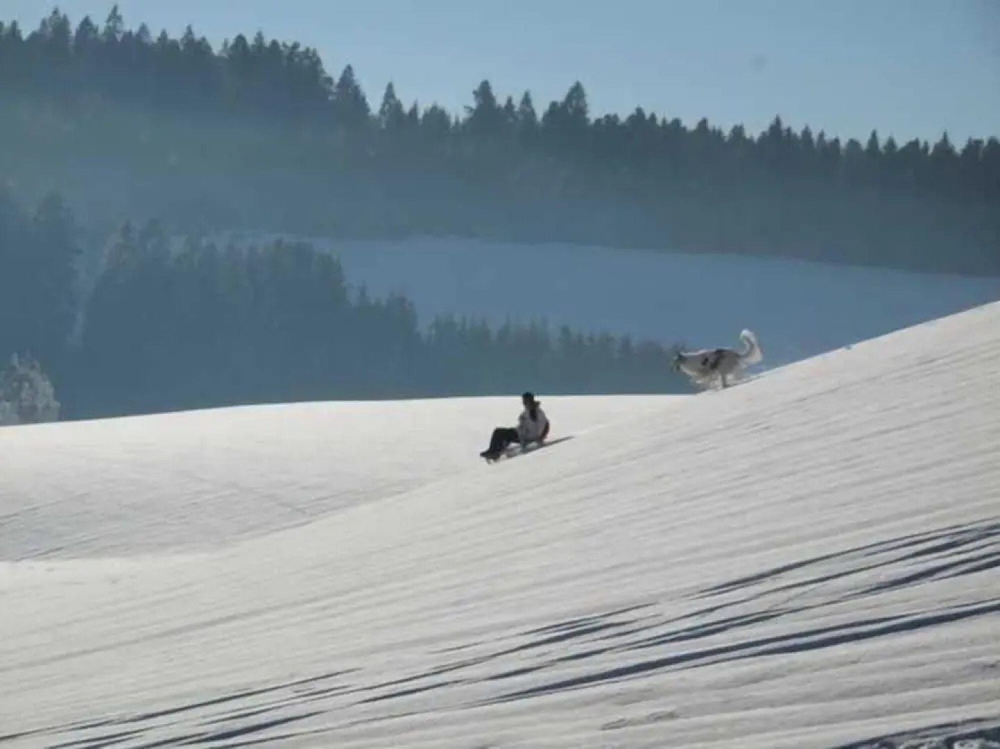Hotel Schwarzwaldgasthof Zur Traube