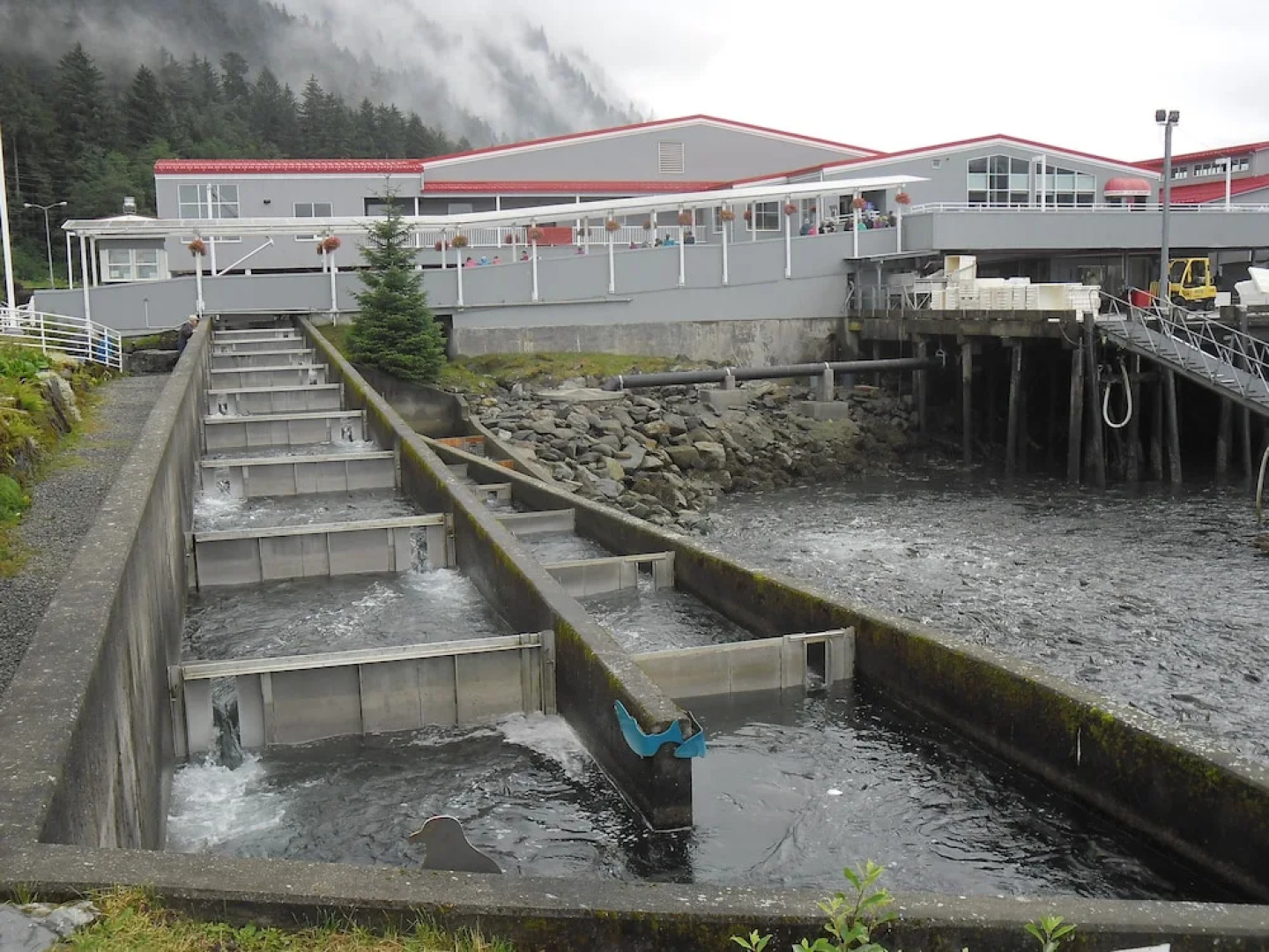 Alaskan Hotel and Bar