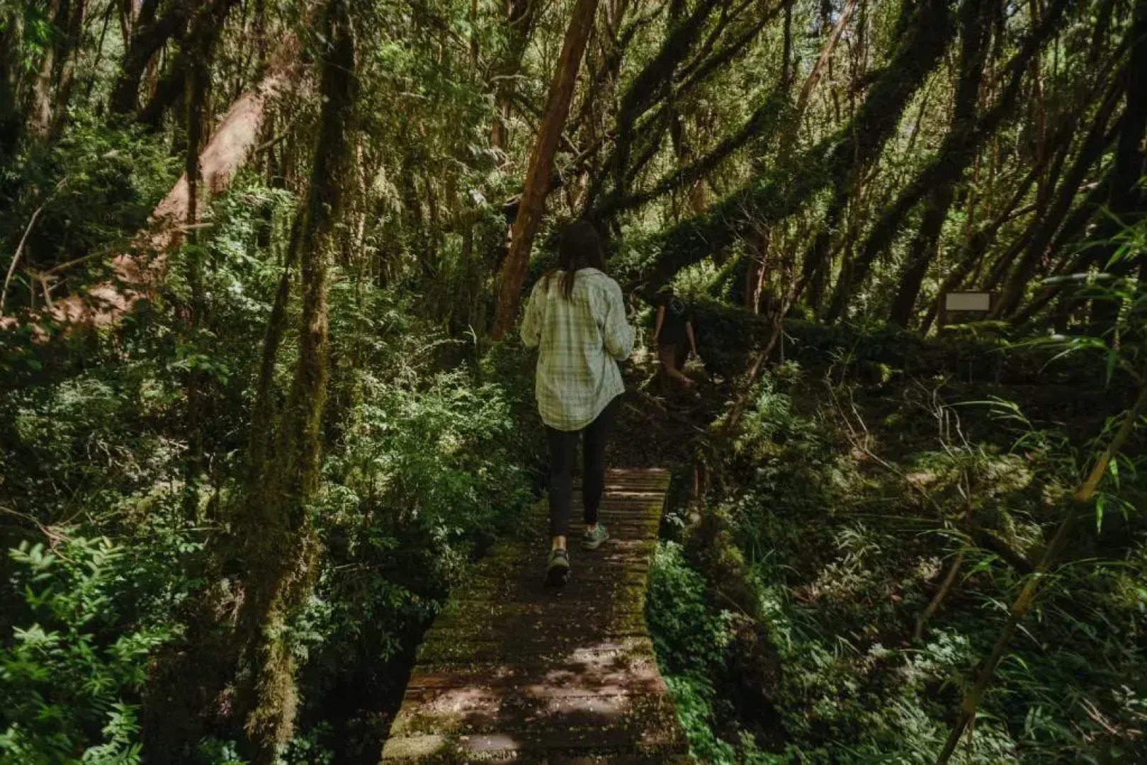 Lodge Parque Tepuhueico